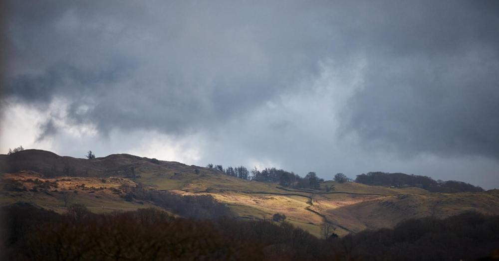Little Nut Cottage view 2