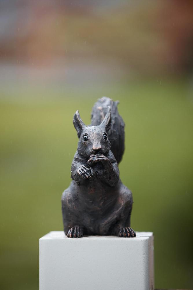 Photo 40