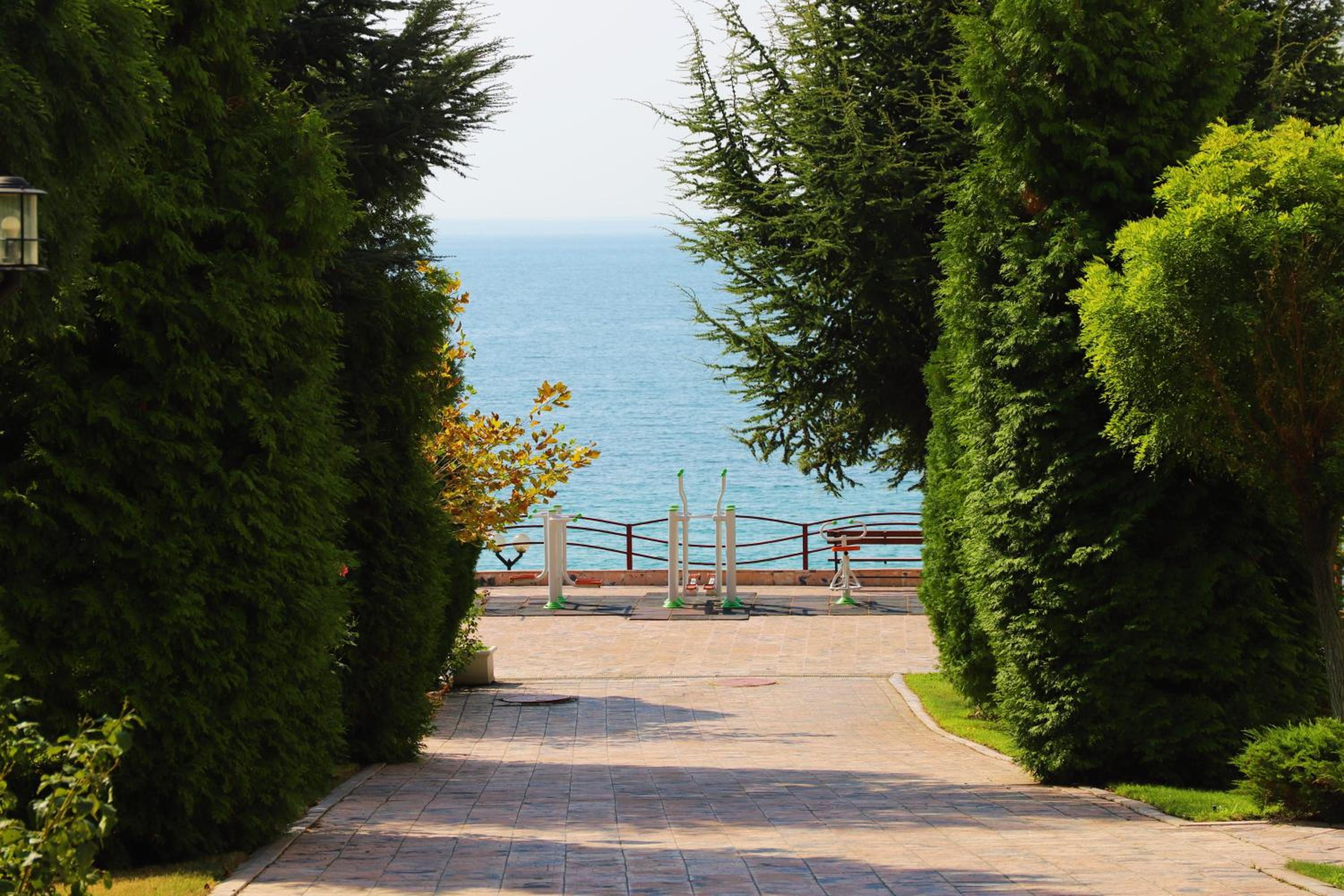 Photo 42