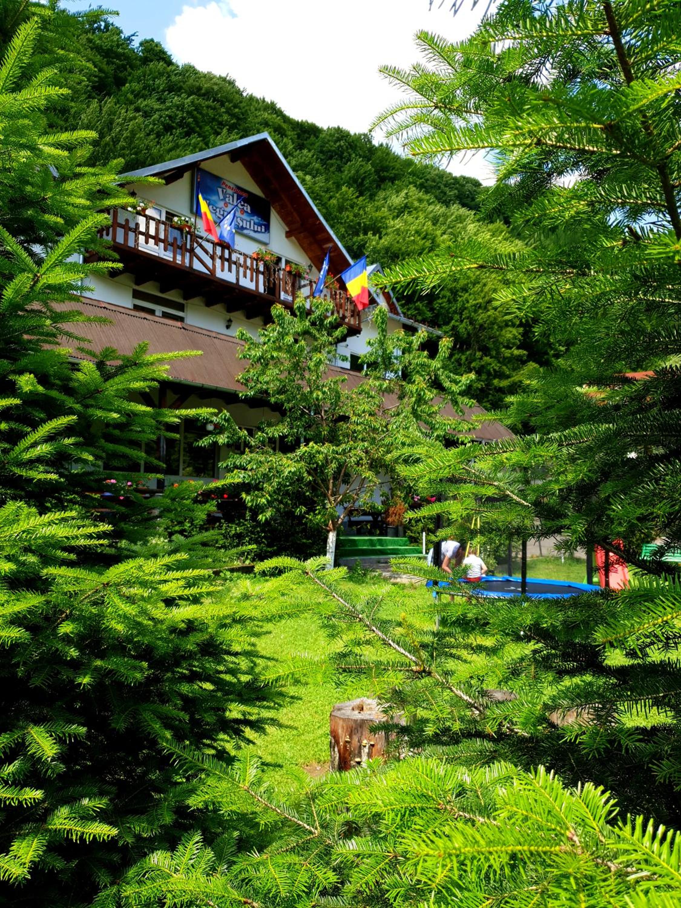 Pensiunea Valea Negrasului view 2