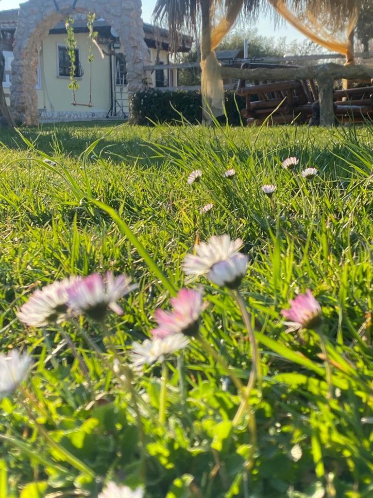 Photo 23