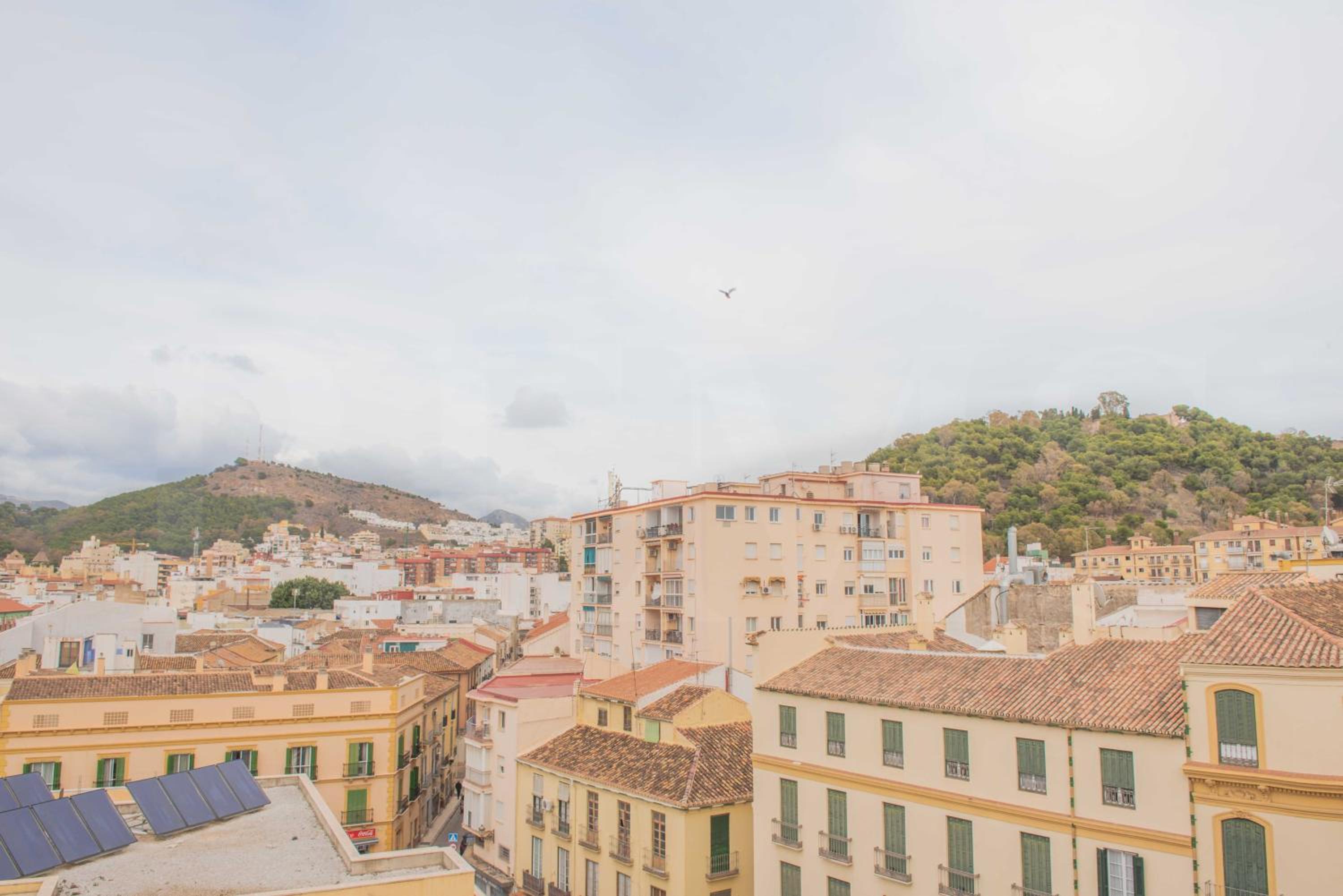 Spacious apartment with a view - historic center by REMS photo 3