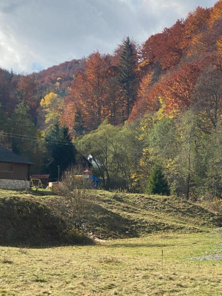 Casa de vacanta Satic Piatra Craiului La Doi viermi