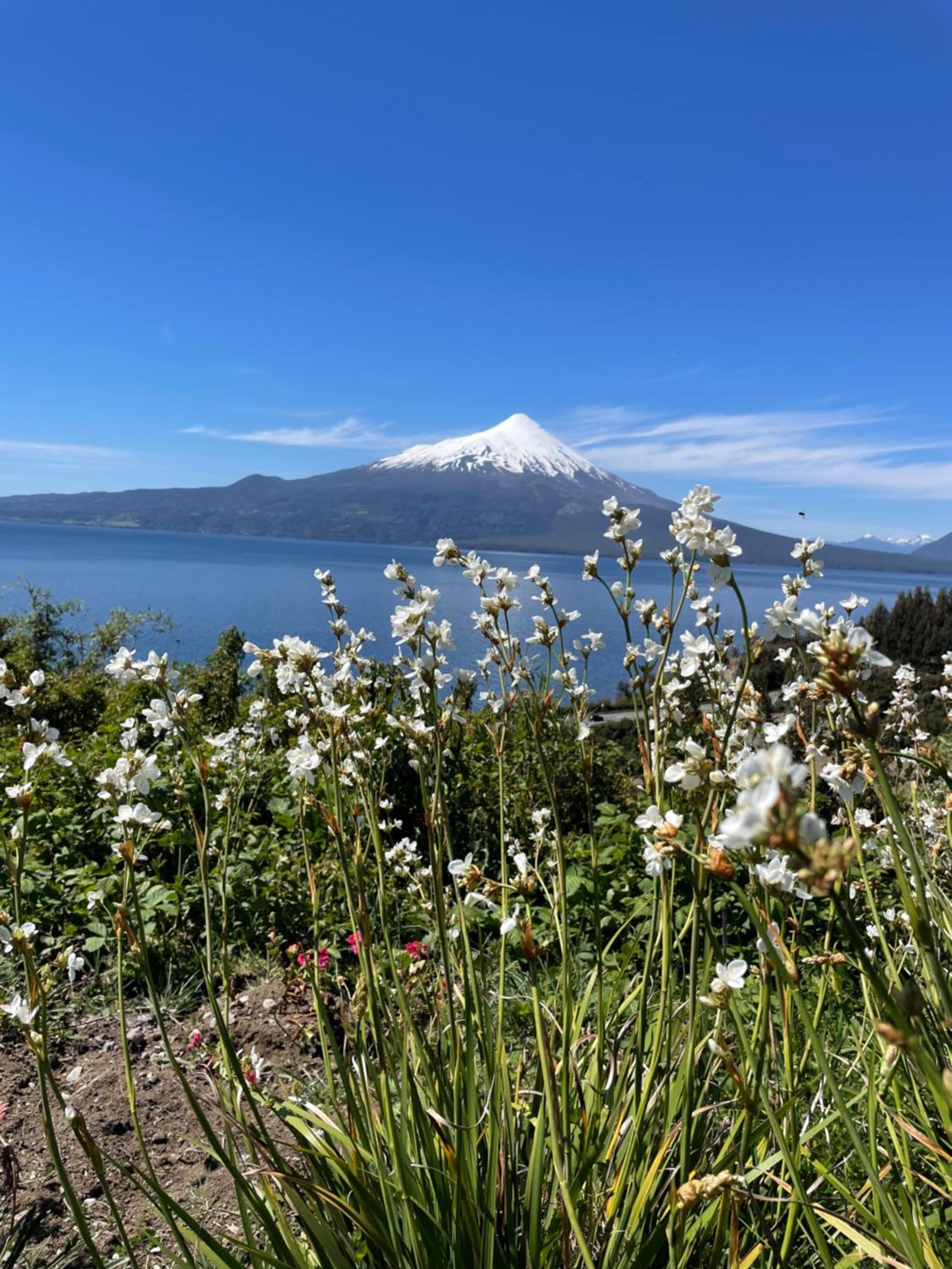 Casa EL CIERVO, Los Riscos, Puerto Varas