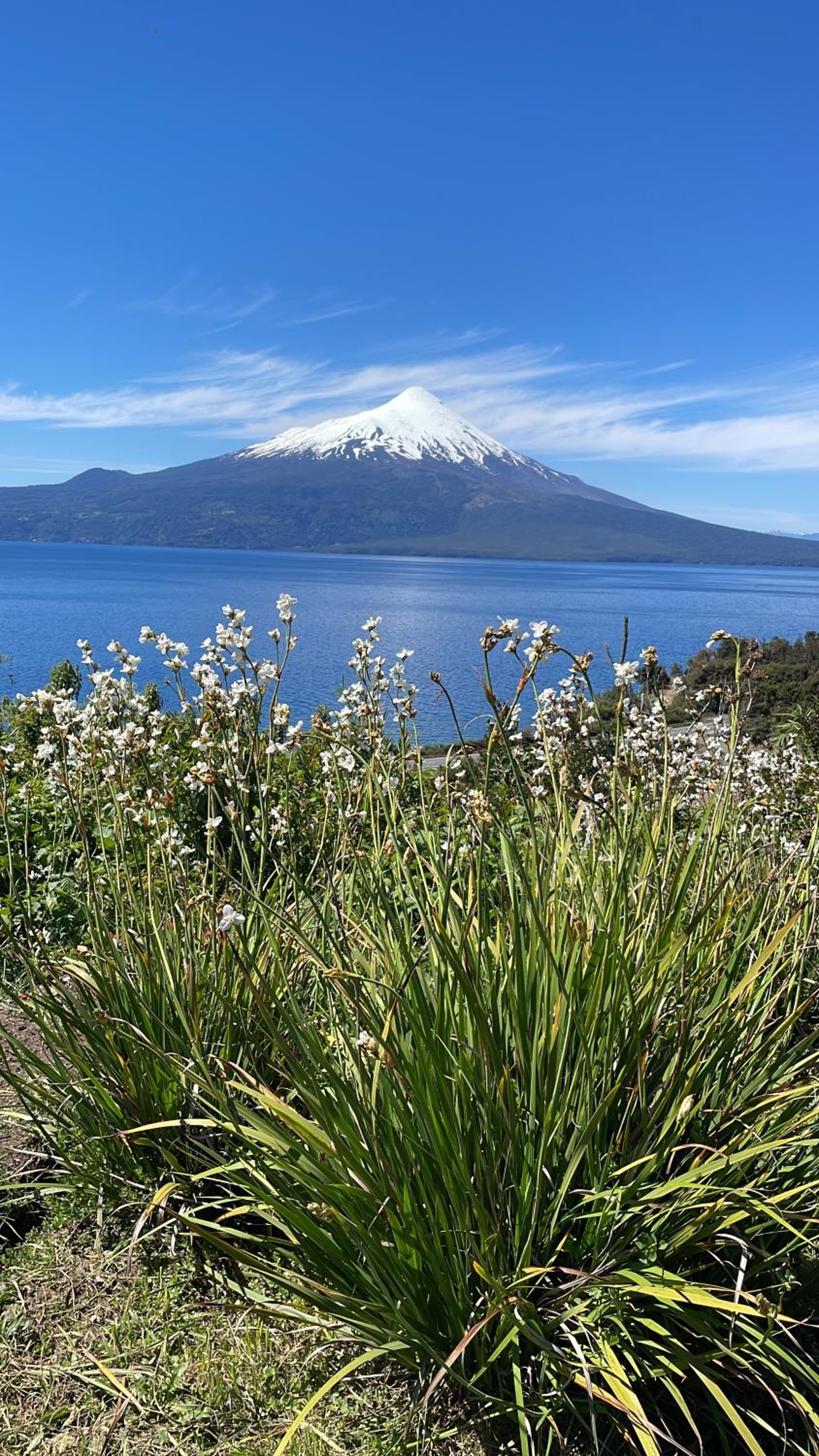 Casa EL CIERVO, Los Riscos, Puerto Varas