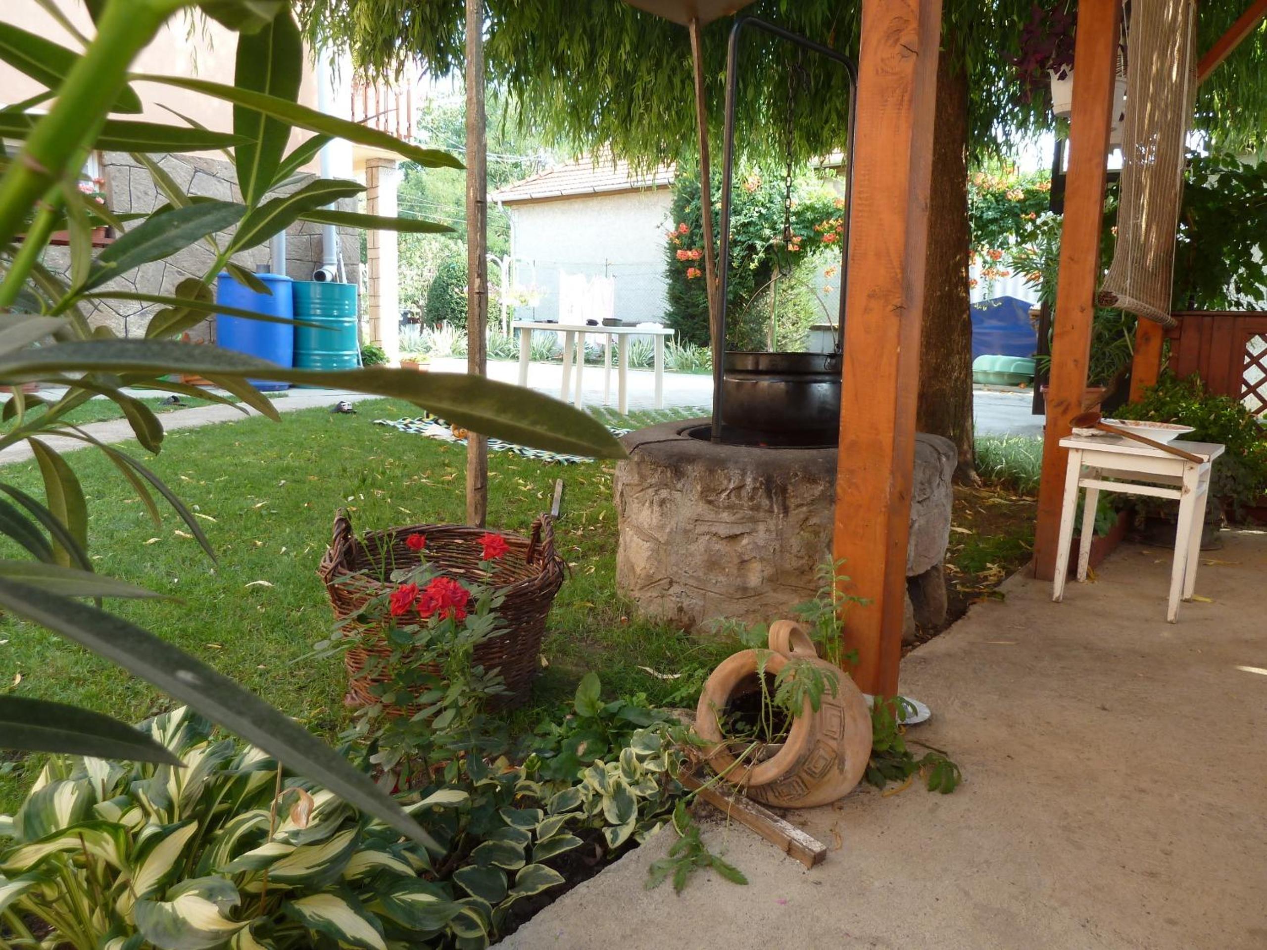 Photo 13