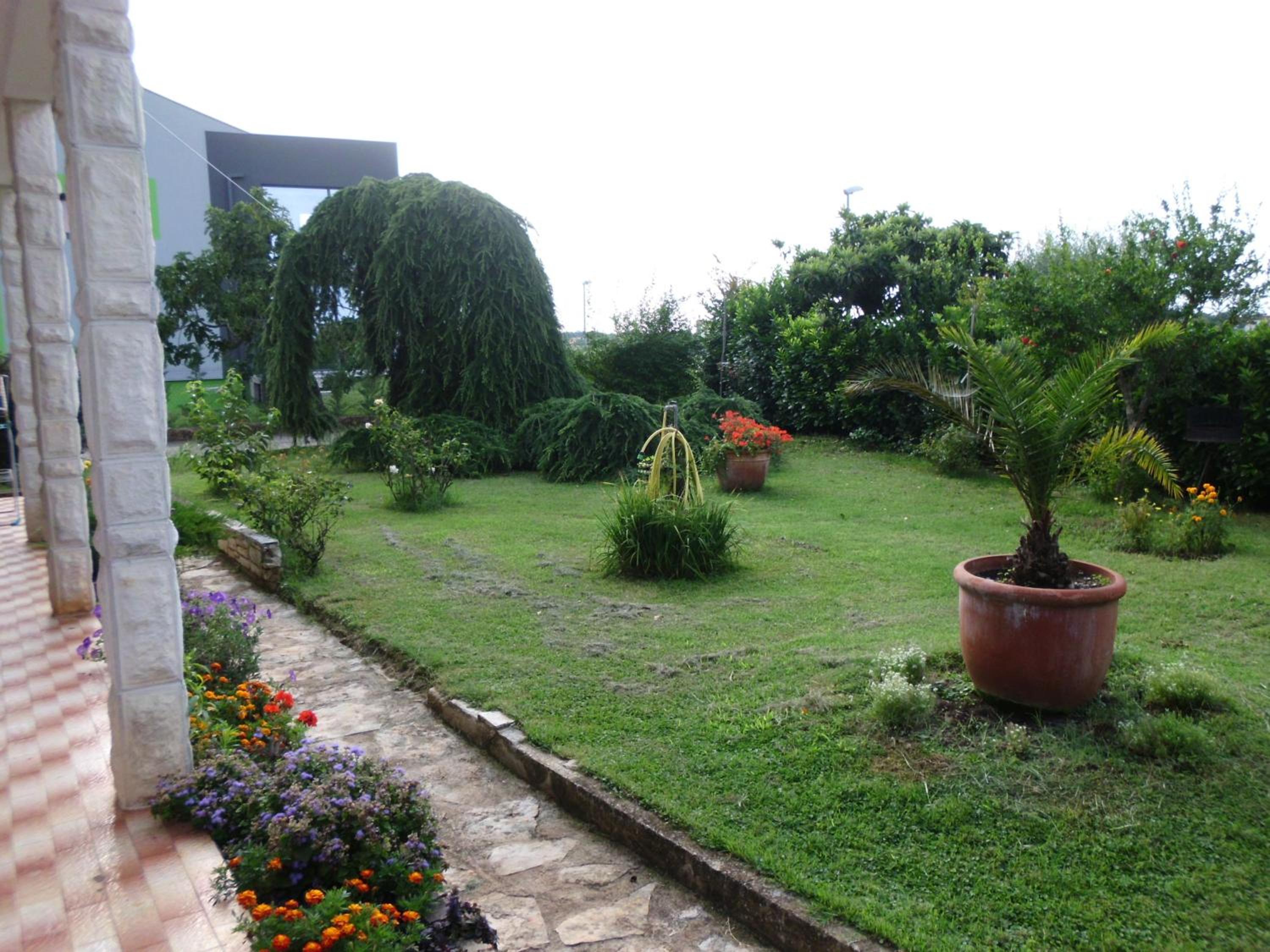Apartments Ribić view 4