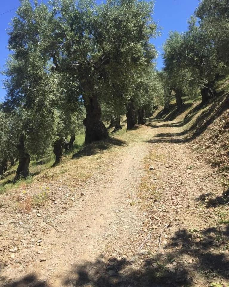 La Giara B&B
