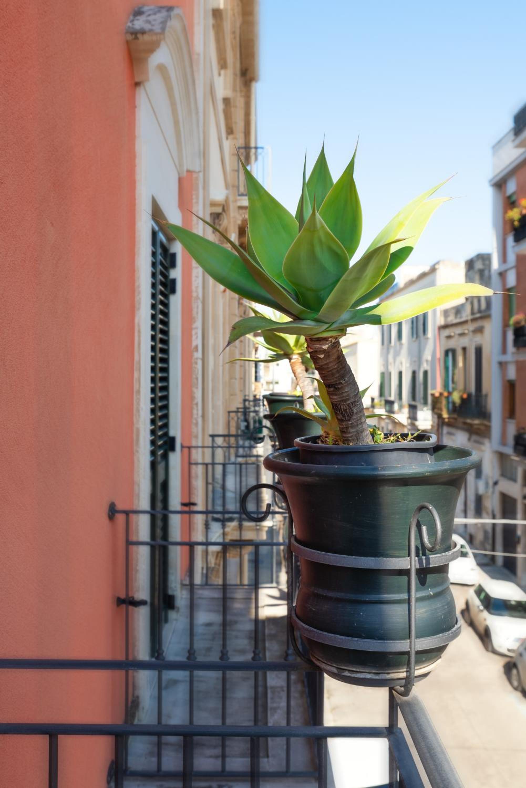 Il Cortile delle Esperidi
