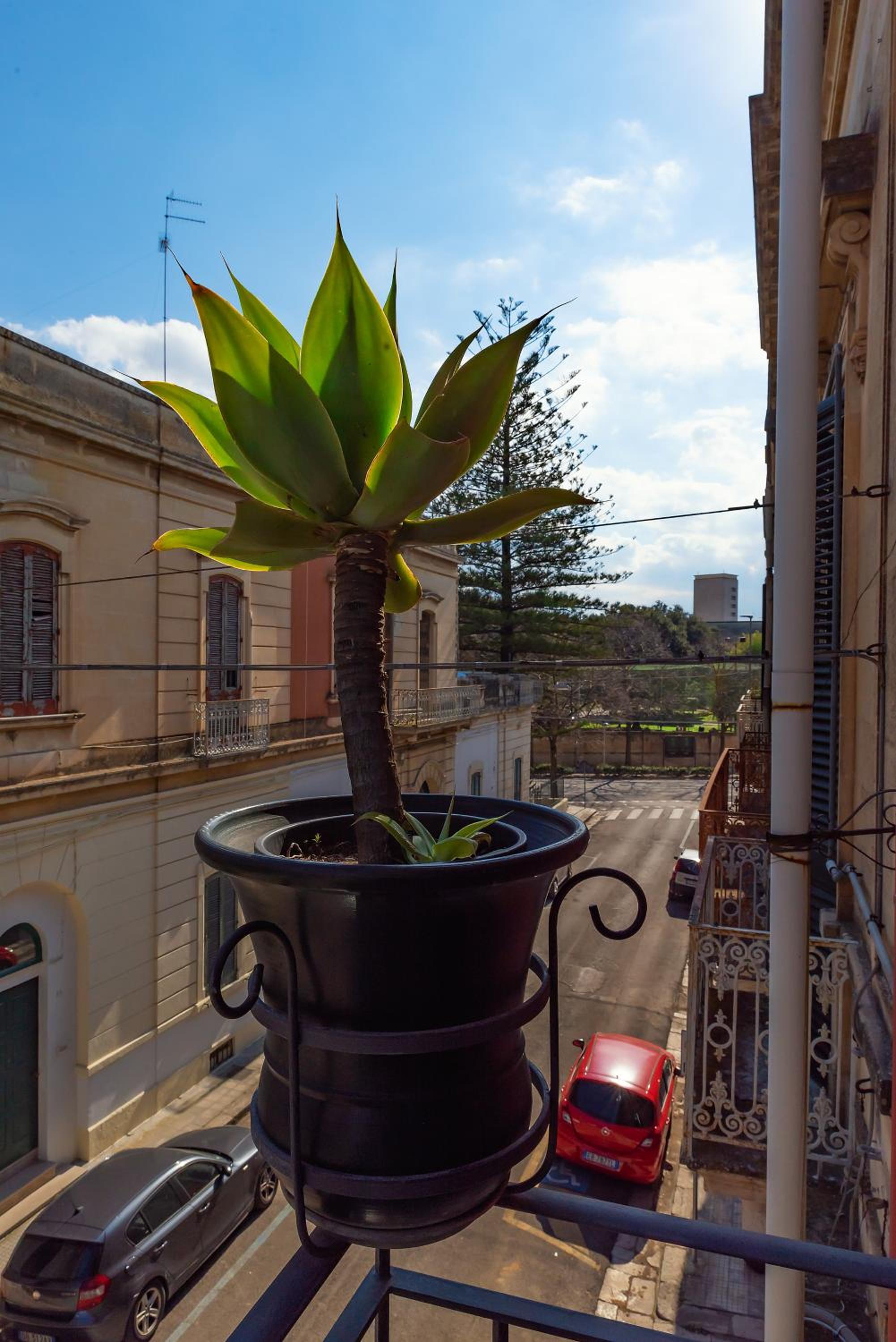 Il Cortile delle Esperidi