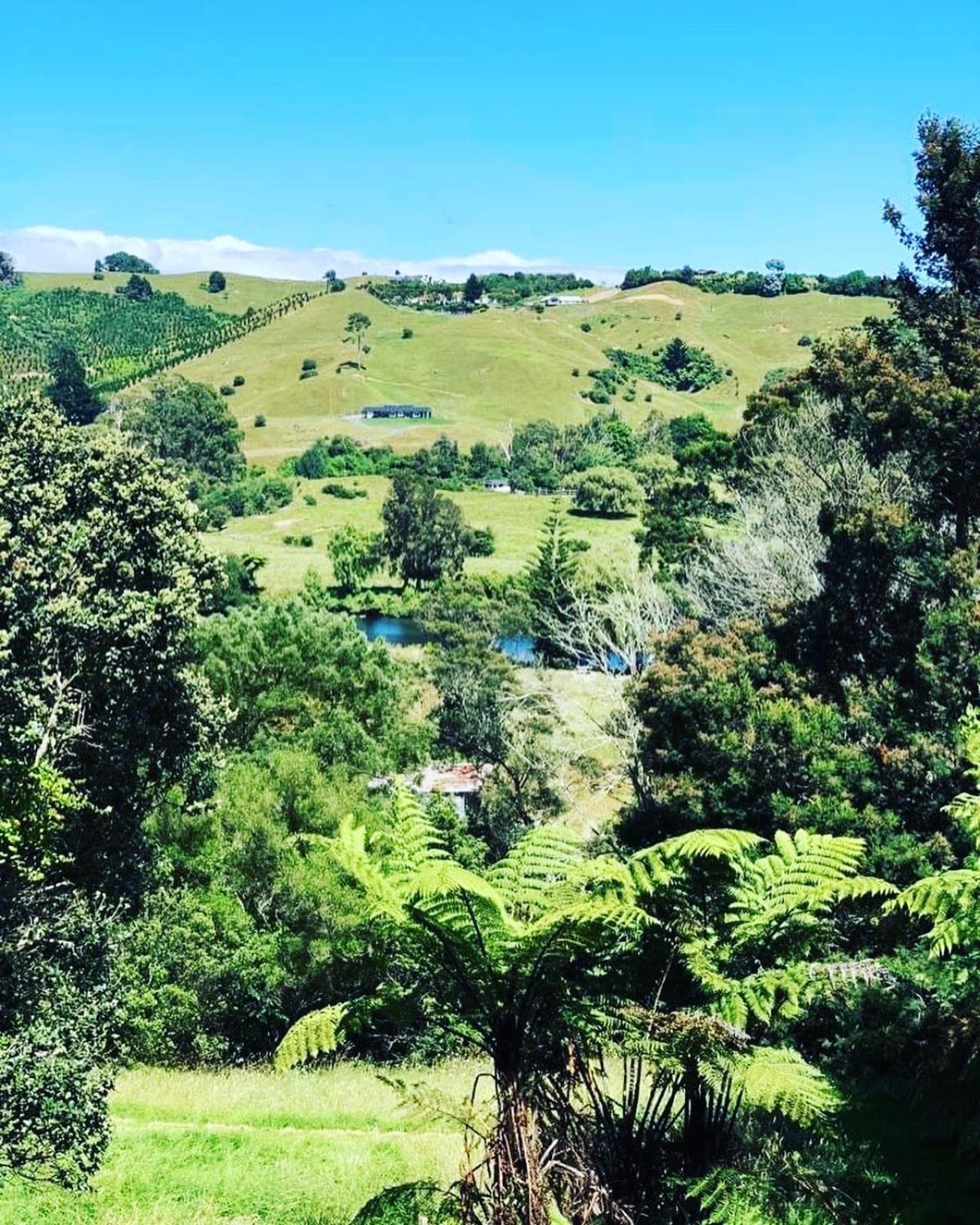 River View Escape close to Mount Maunganui & shops view 2