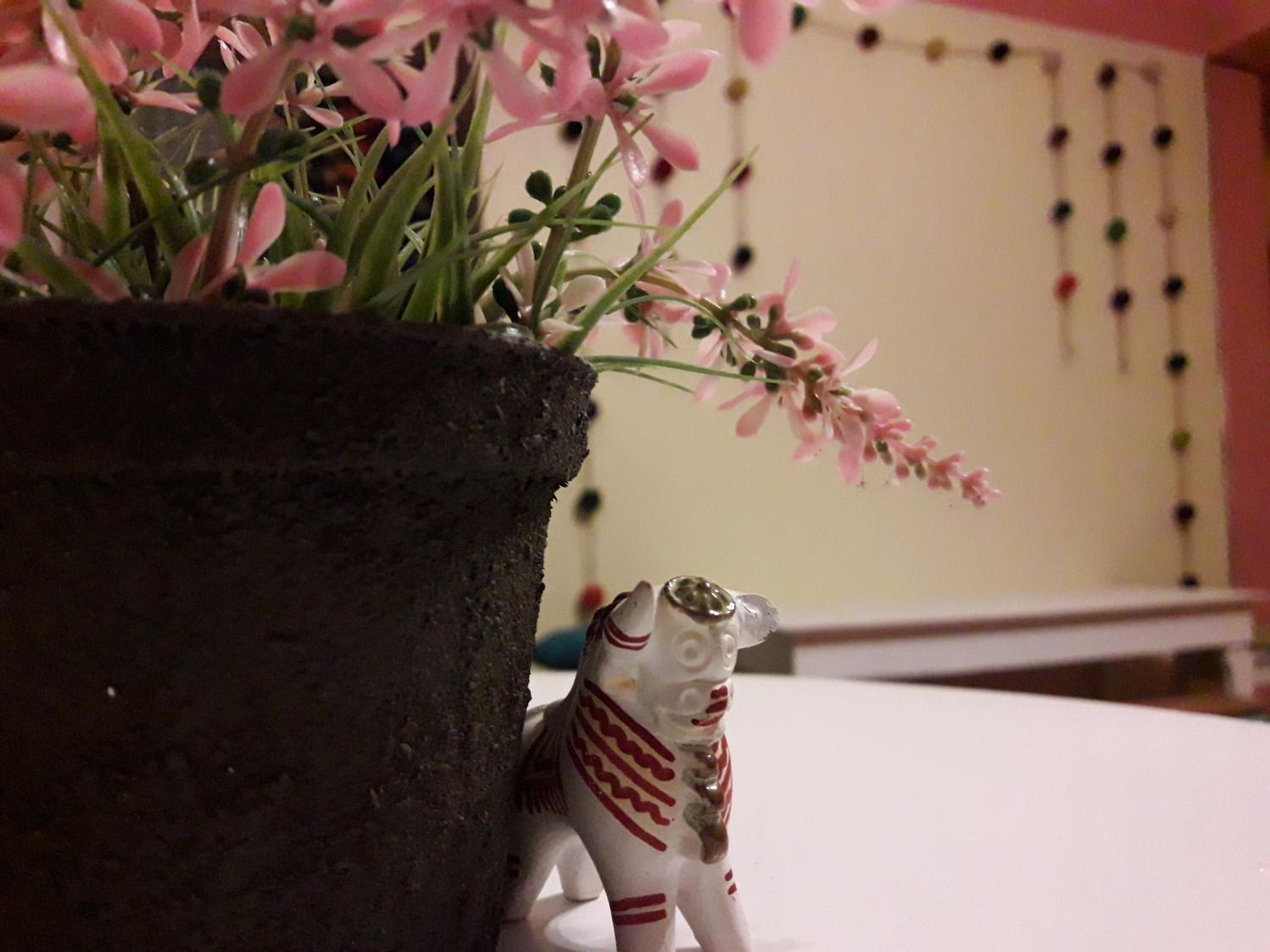 Photo 37