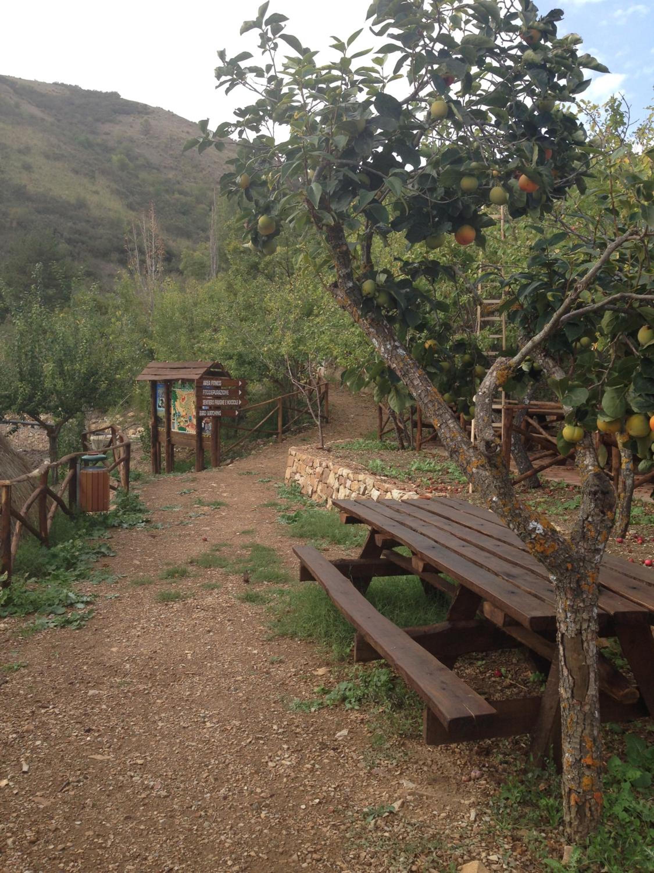Agriturismo Gelso