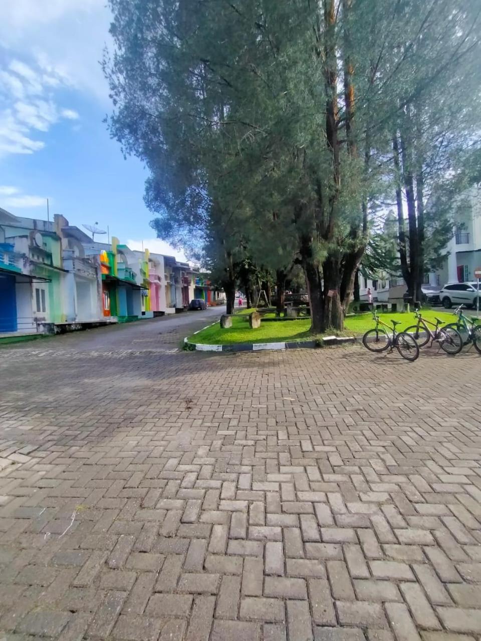 Photo 14