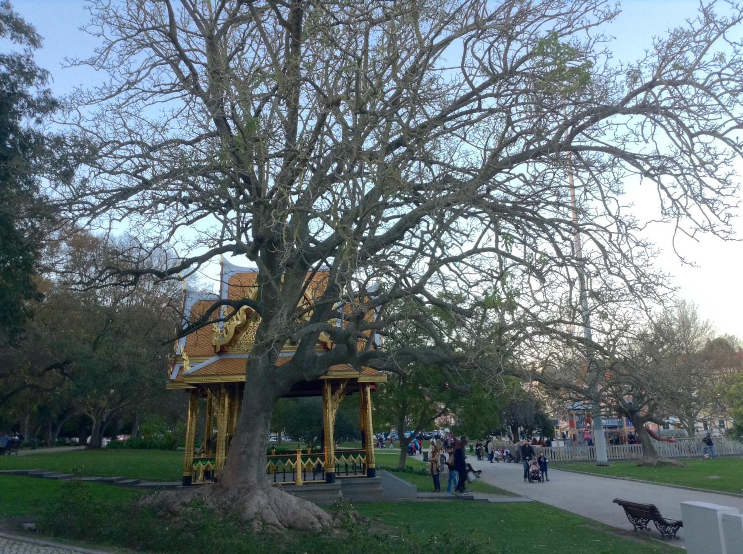 Photo 27