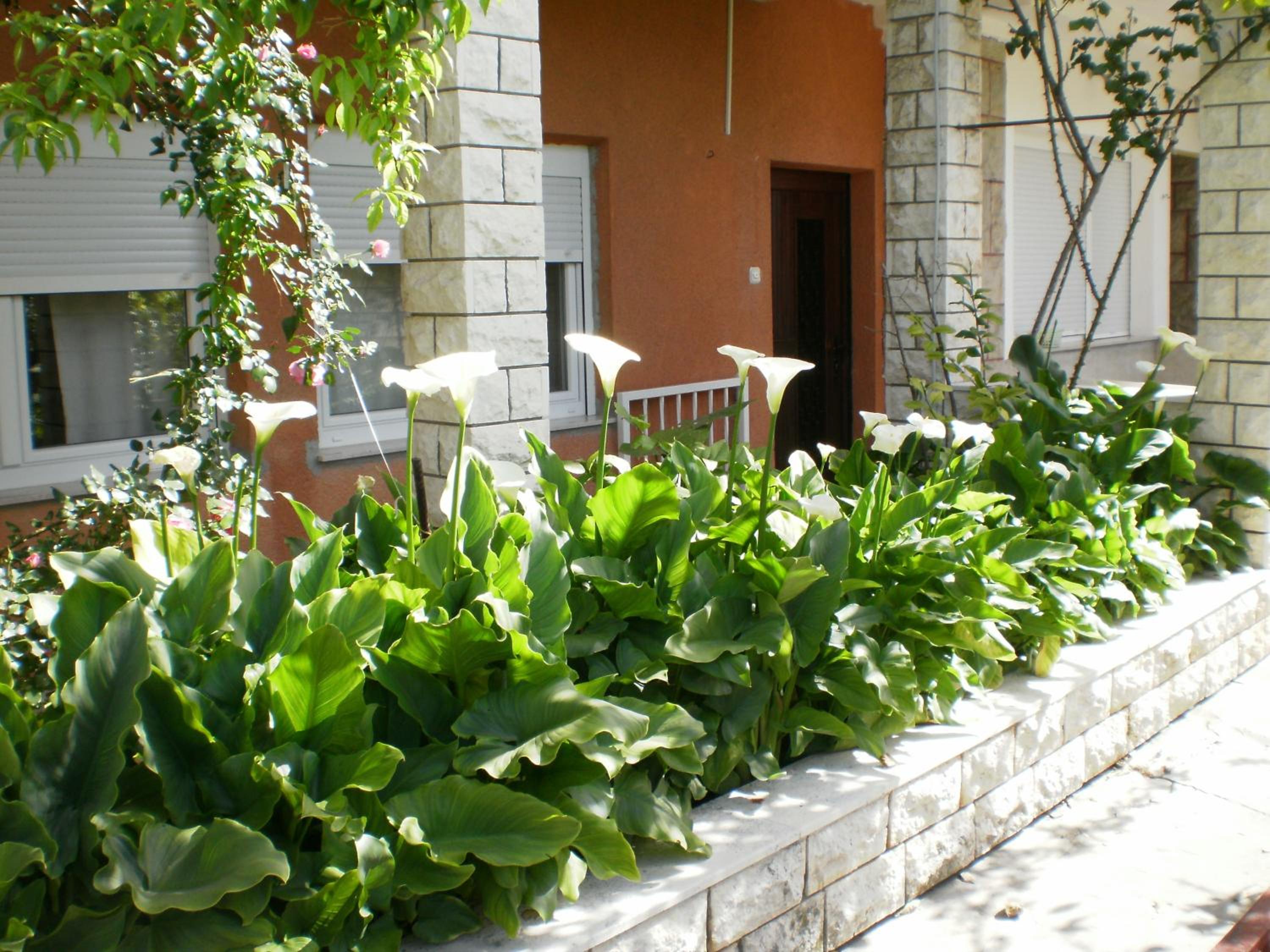 Apartments Marija