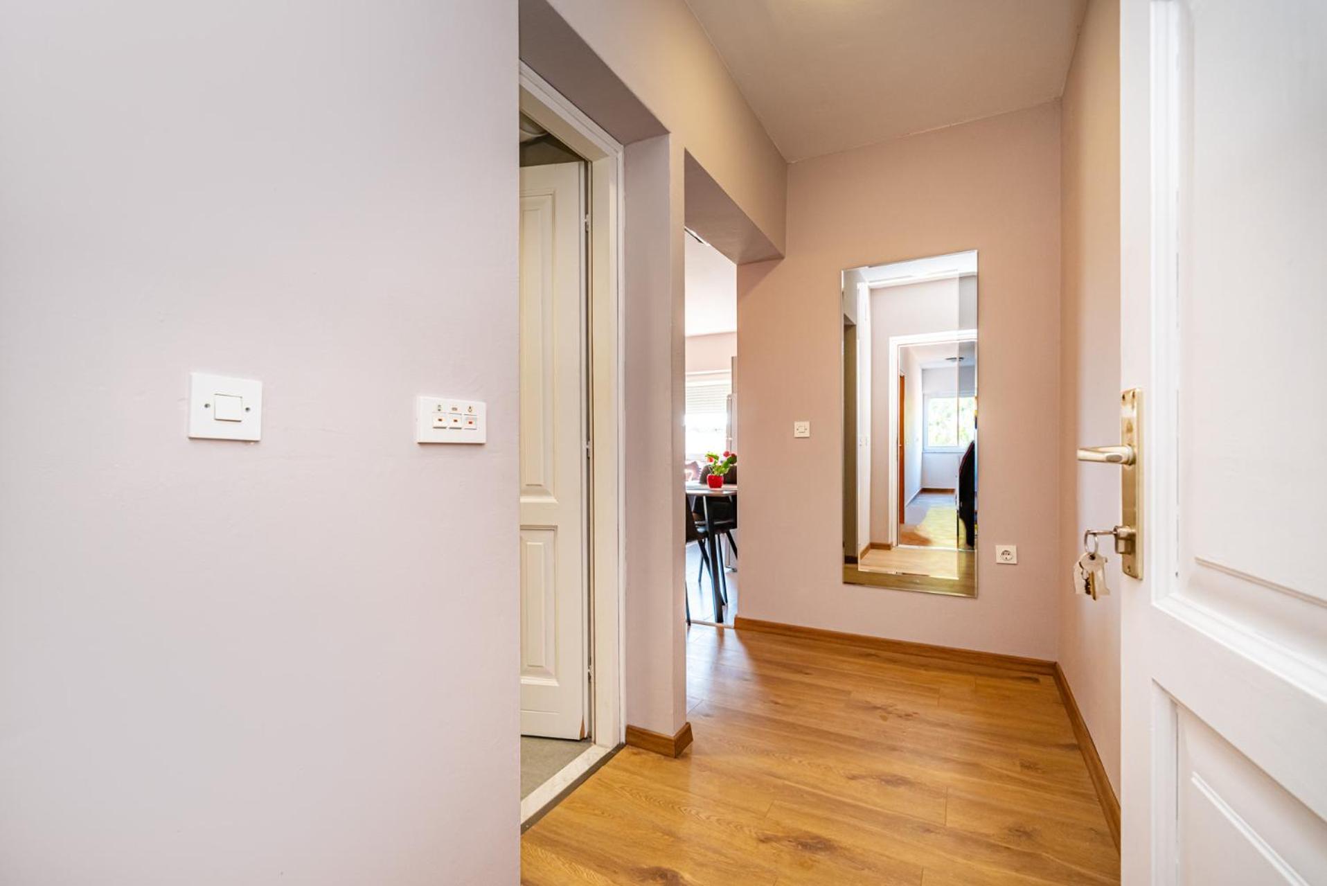 Apartment Drazice view 2