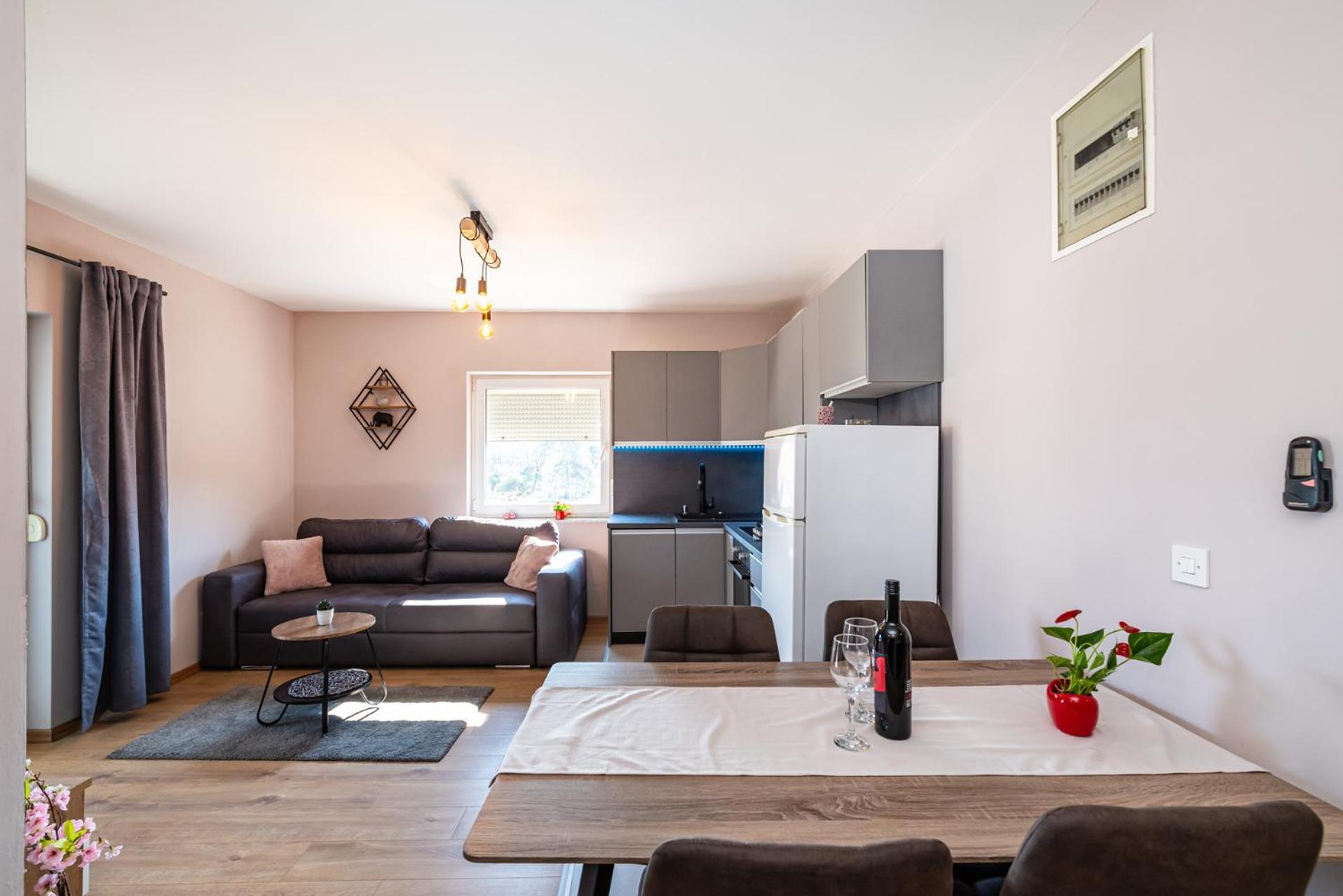 Apartment Drazice view 4