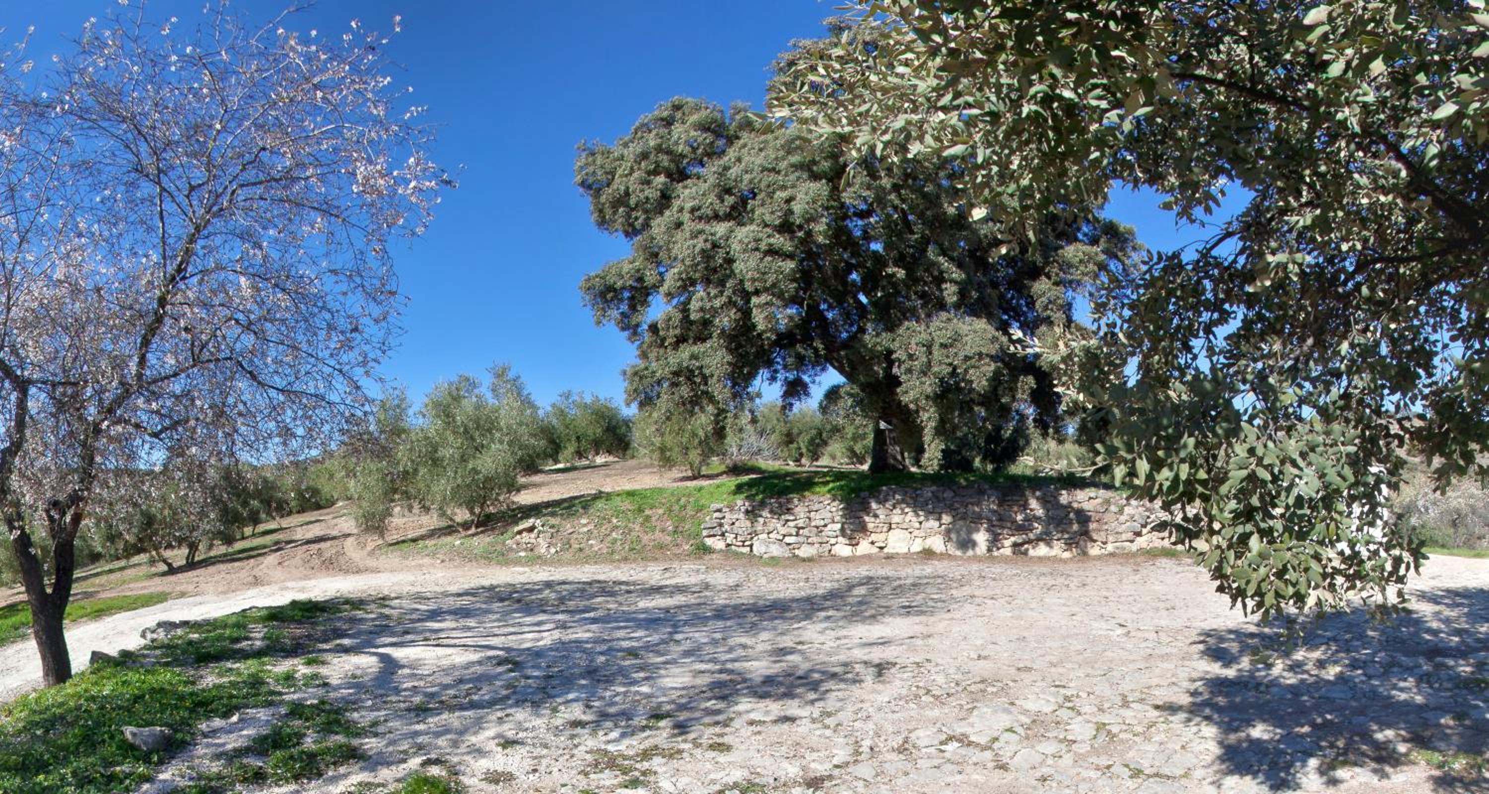 Photo 9