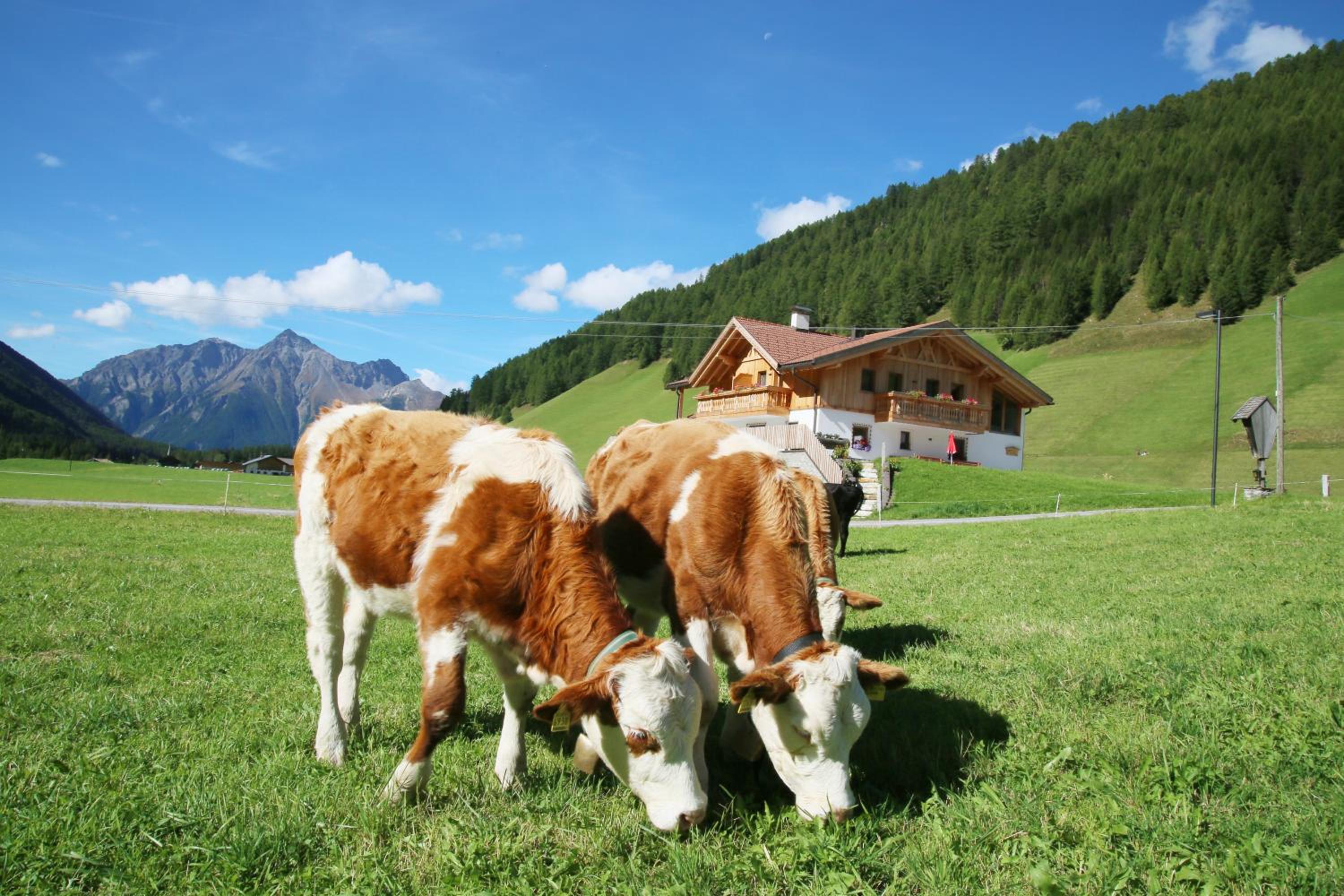 Ferienwohnungen Unterangerhof