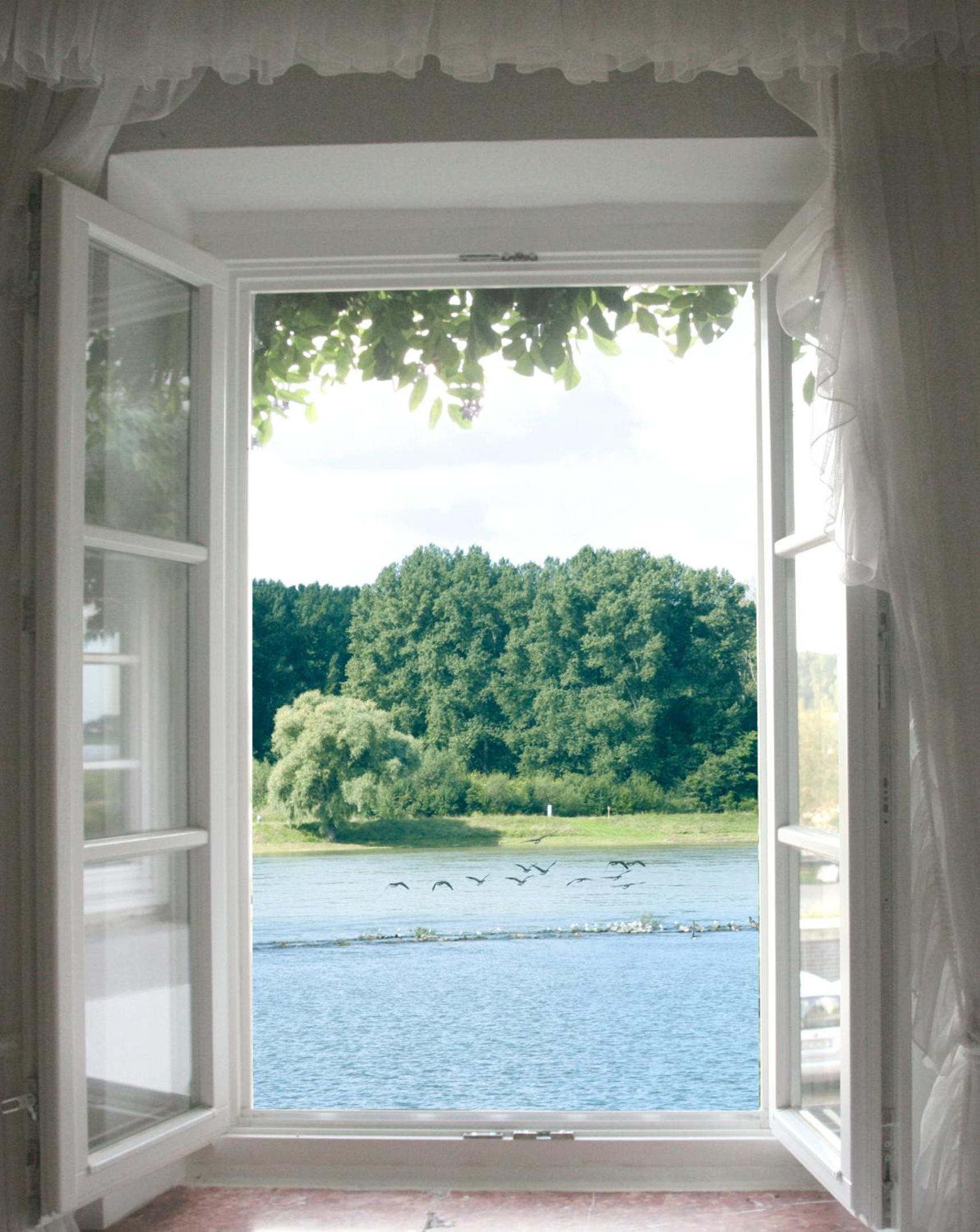 Rhein River Guesthouse - direkt am Rhein