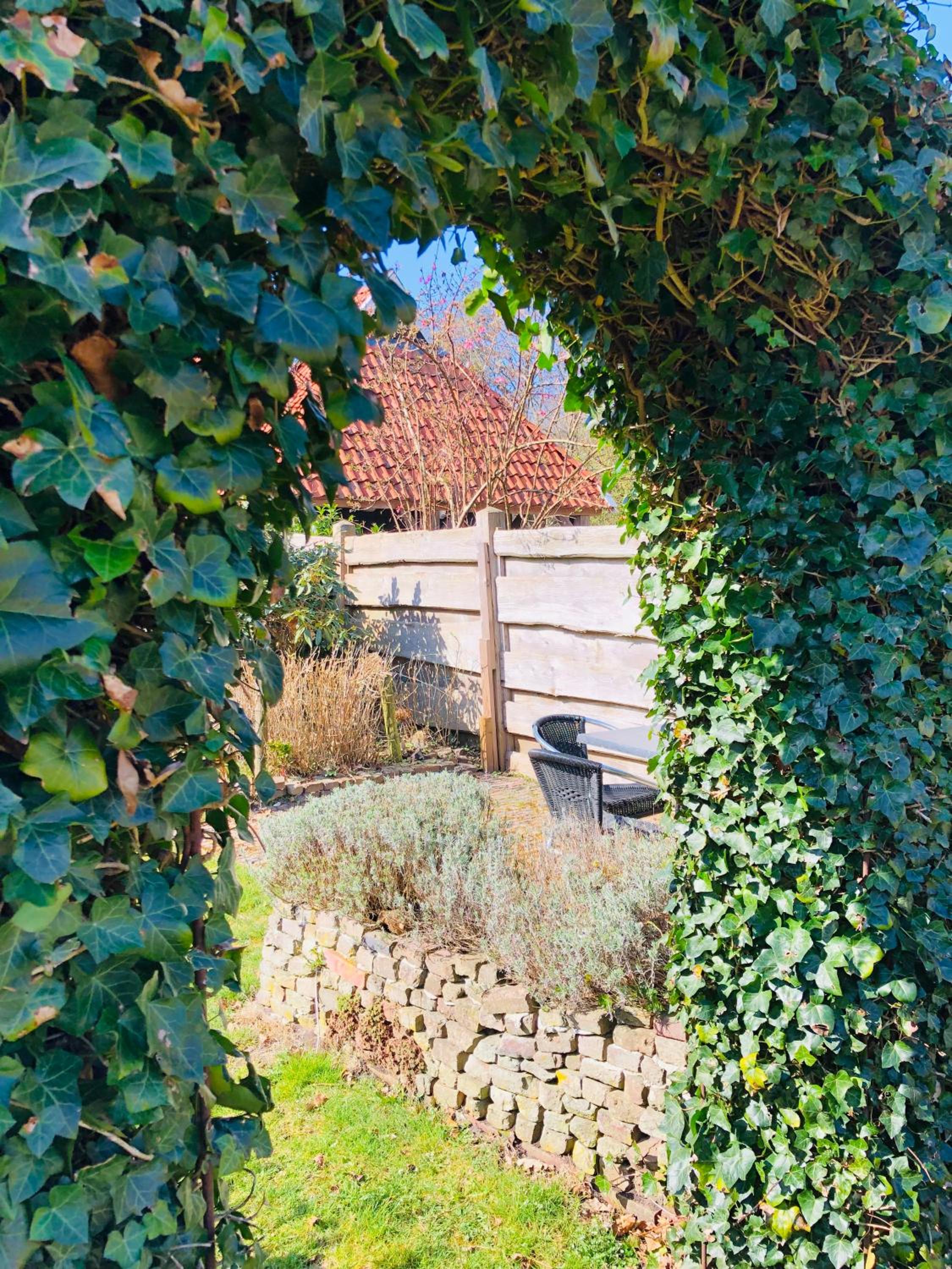 Photo 16