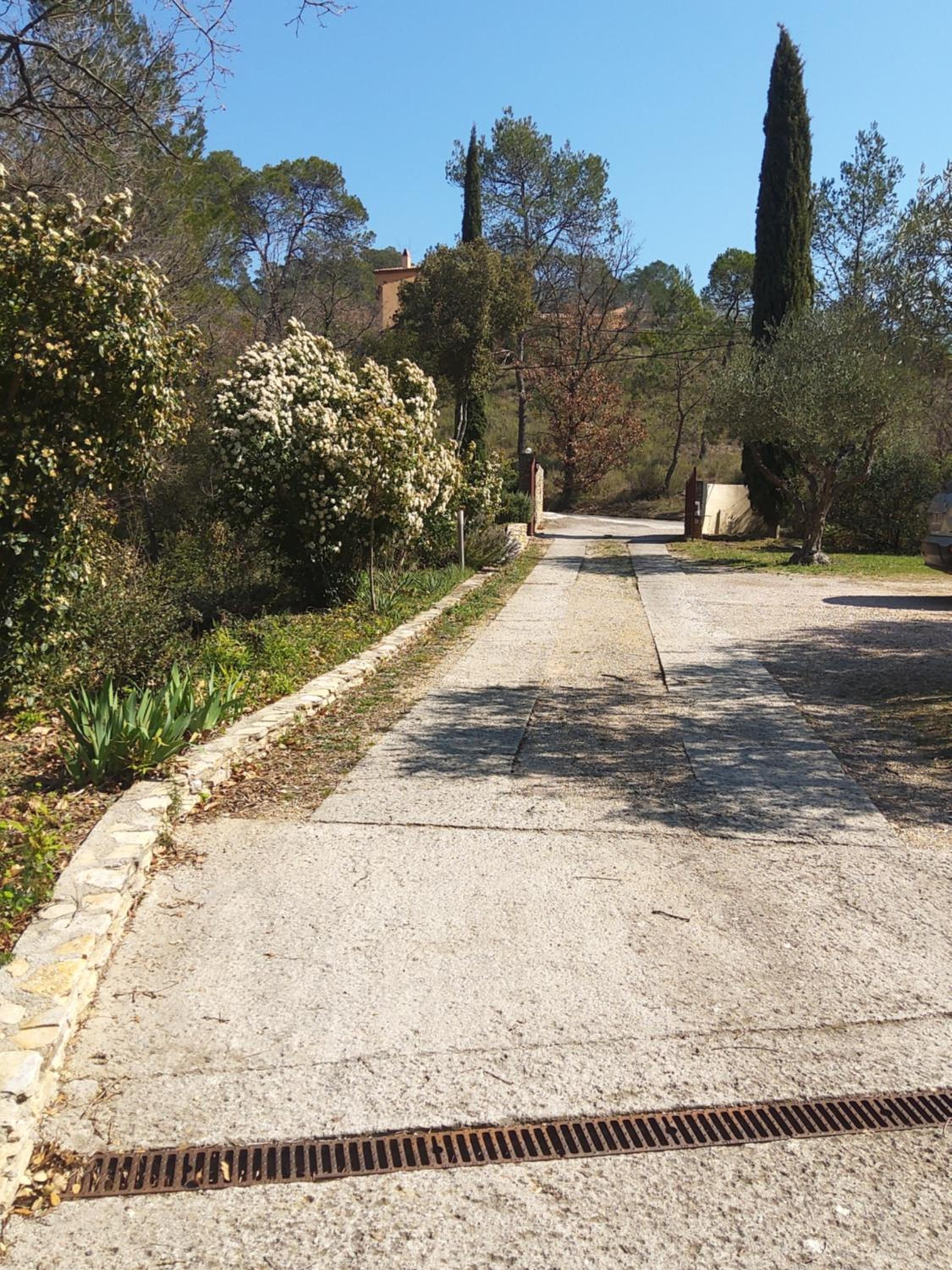 Photo 46