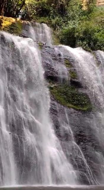 Eco-Cabanas Altozano Nimaima - Property Image 49