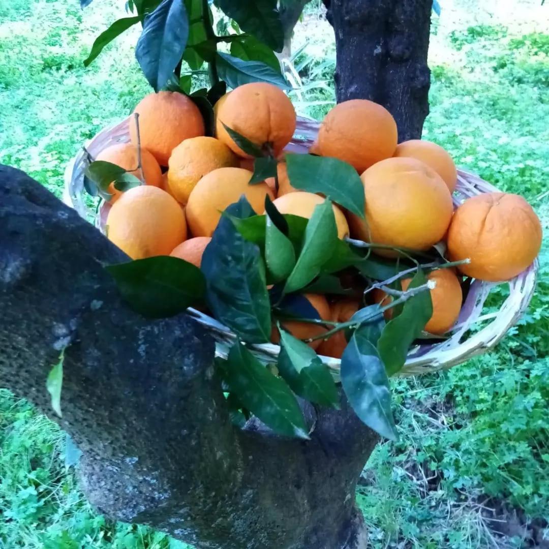 La Giara B&B