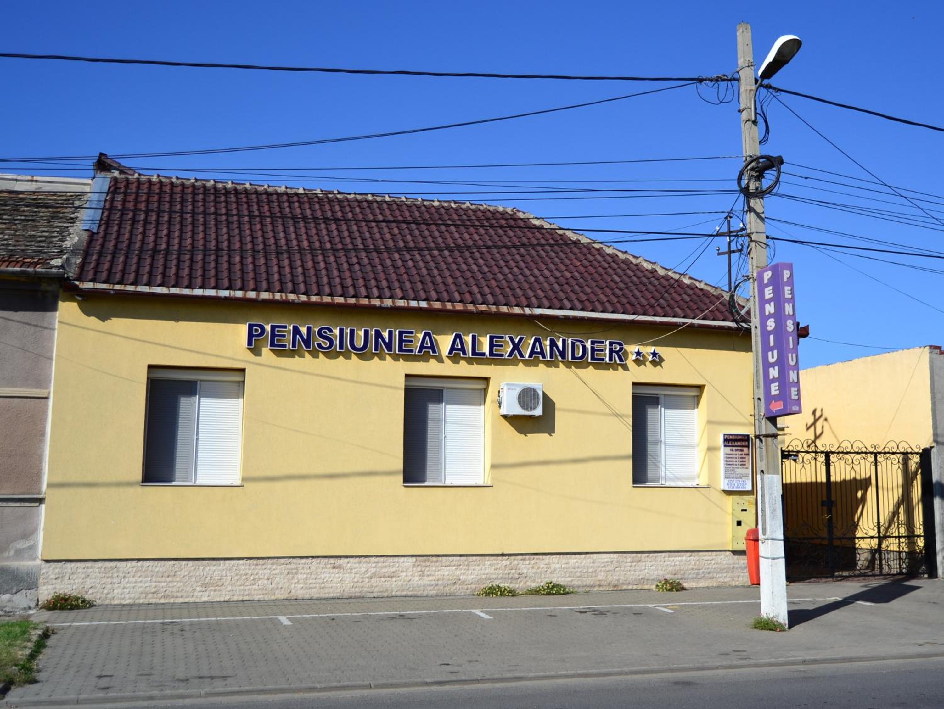 Pensiunea Alexander view 2