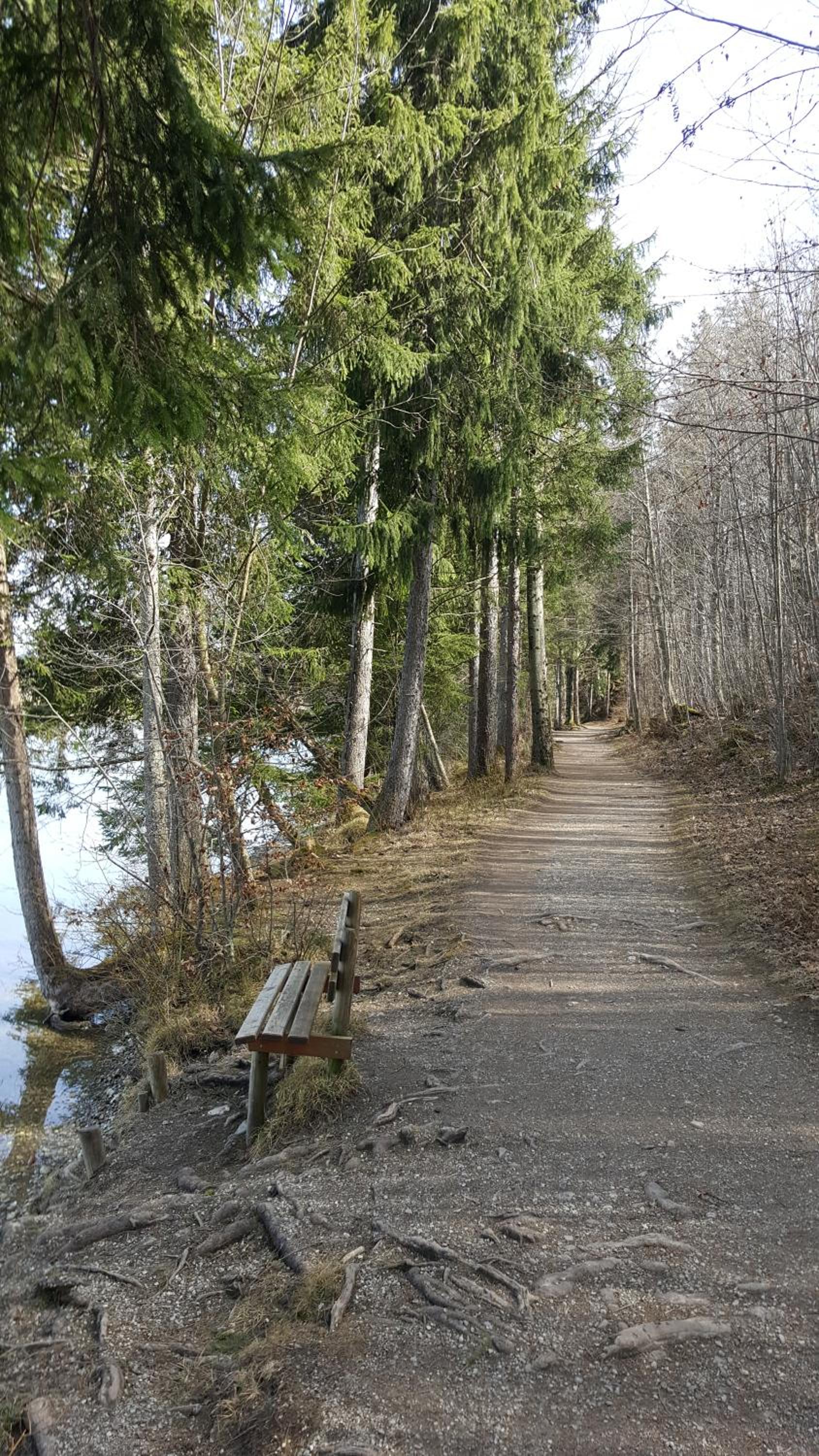 Fewo FRIADO im Ferienpark OA - ohne Zusatzkosten nach Anreise - mit Hallenbad, W-Lan, PKW-Garage, Kurtaxe mit Allgäu-Walser-Pass, Bett- und Handtuch-Wäsche
