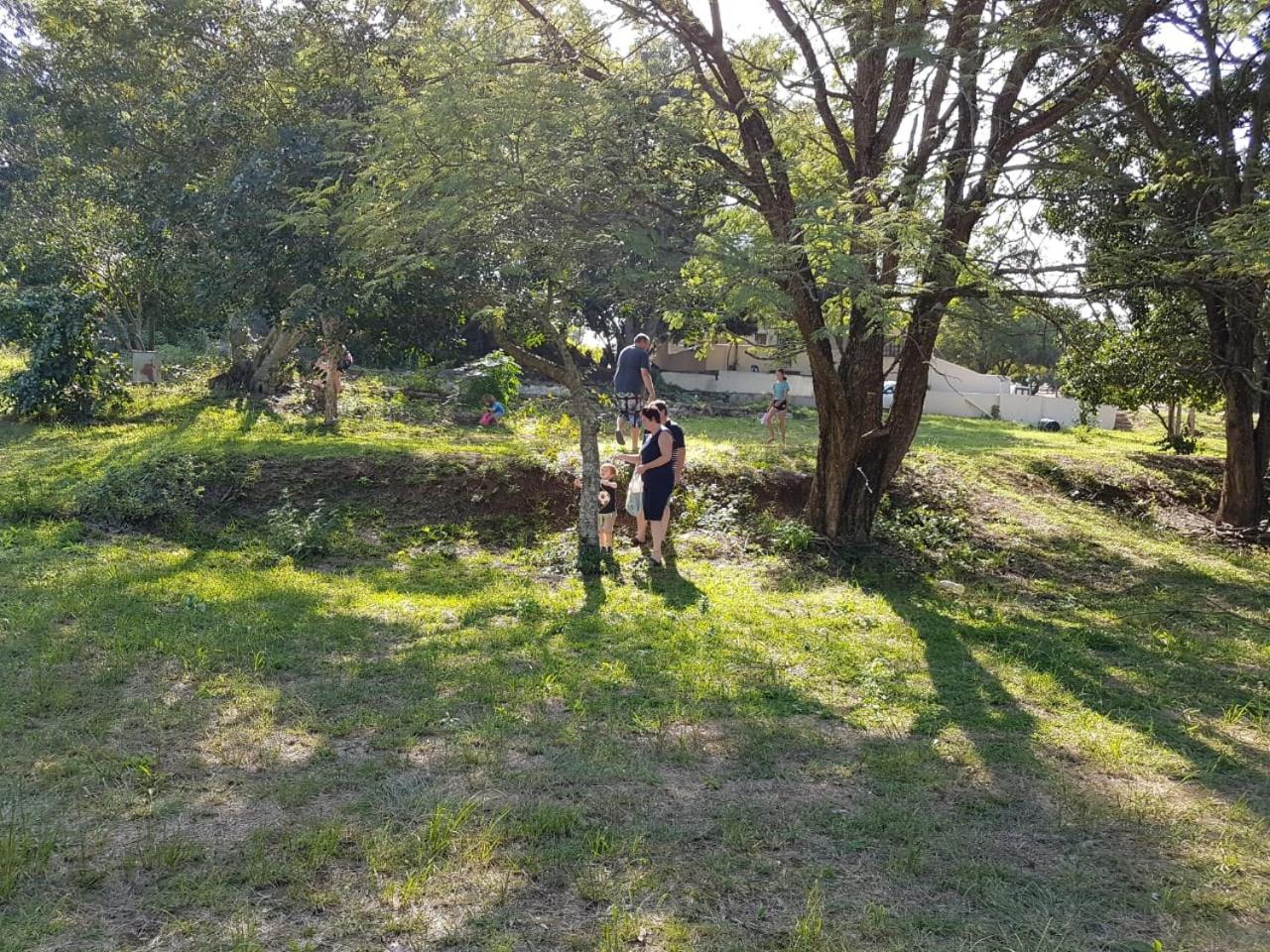 Photo 21