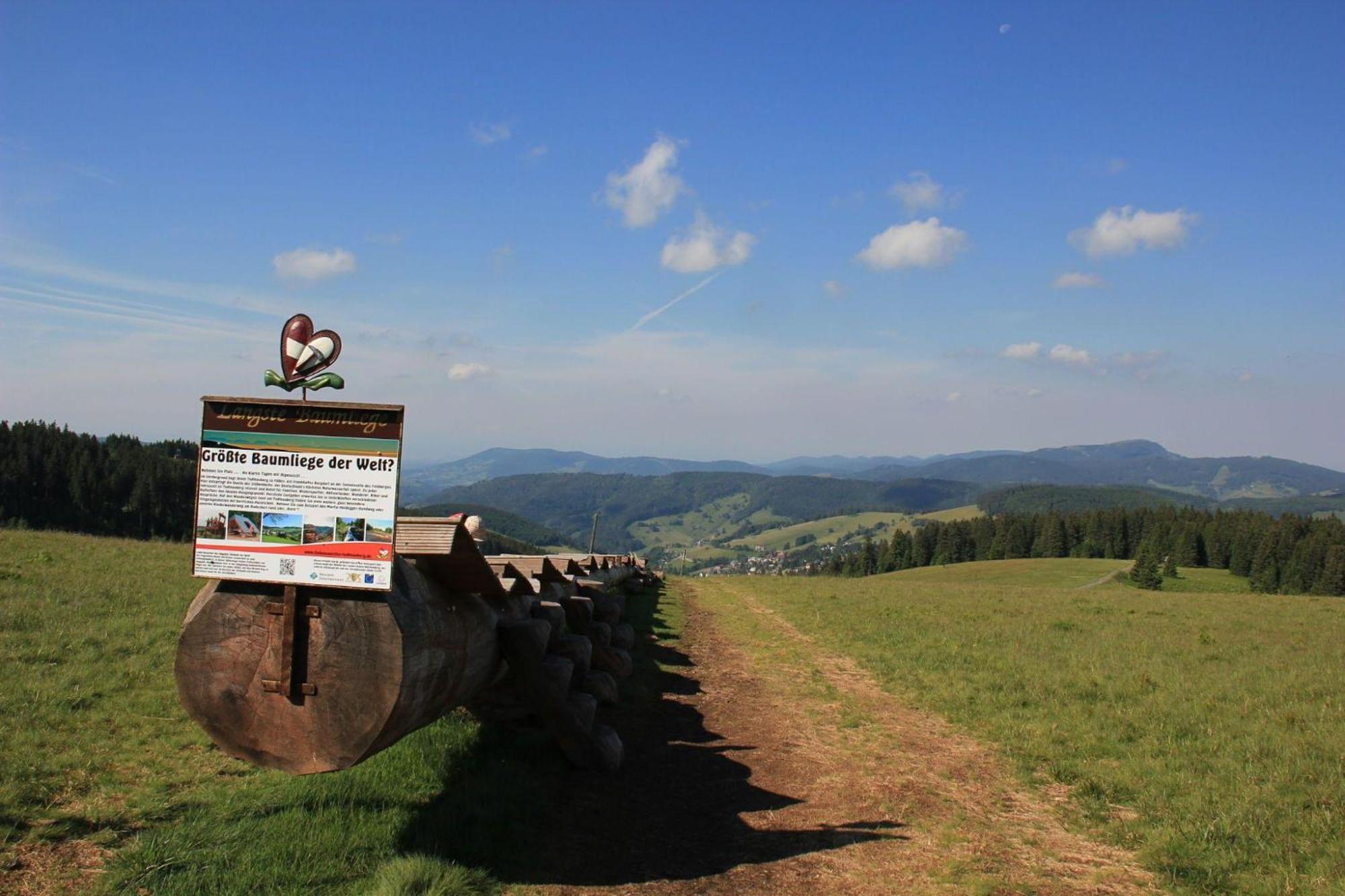 Ferienwohnung-Feldberg-in-der-Pension-Gloecklehof