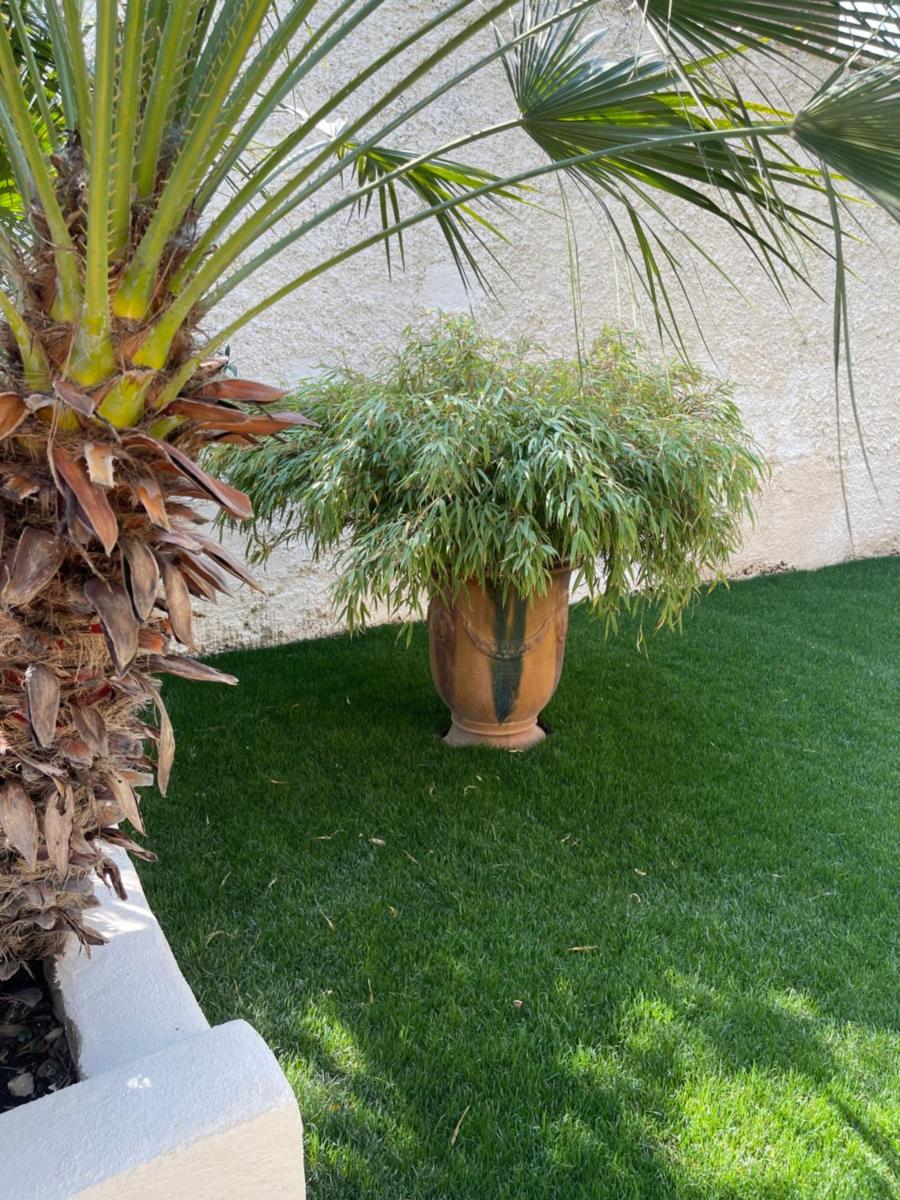 un petit coin de paradis avec piscine et parking view 5