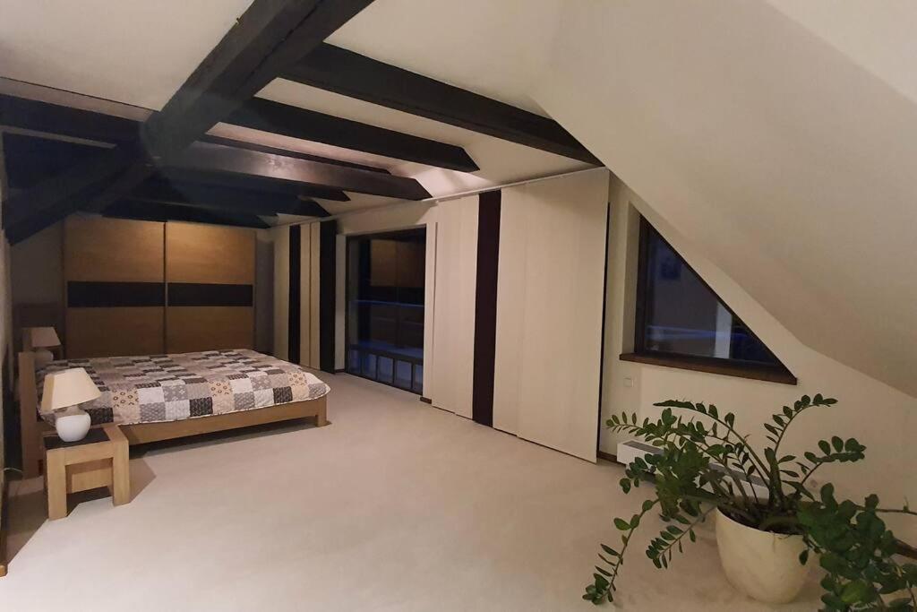 Beautiful house with fireplace in the most unique place in Latvia view 5