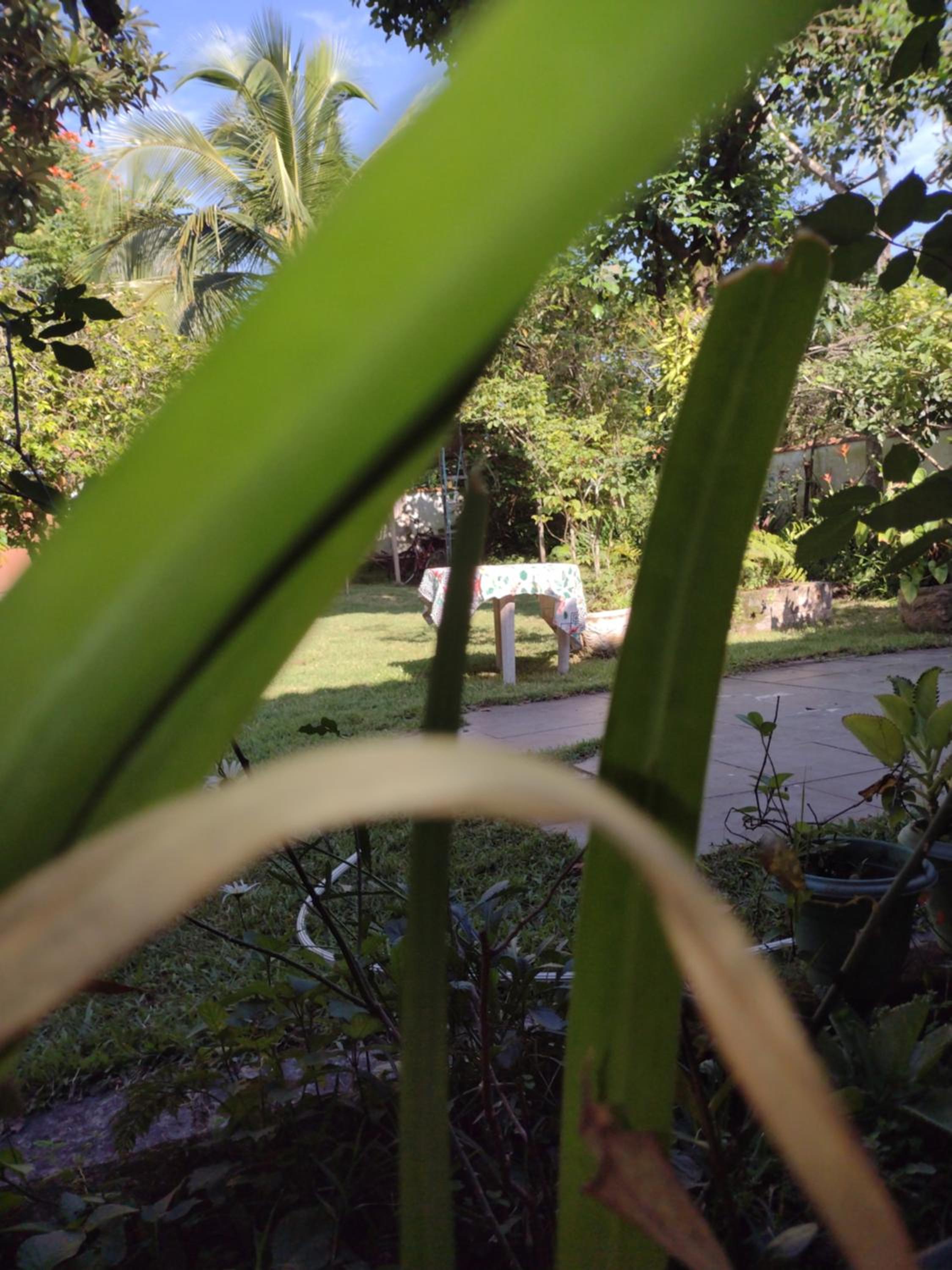 Casa de Praia em Jaconé - Centro de Jacone - Comércios e Mercado!