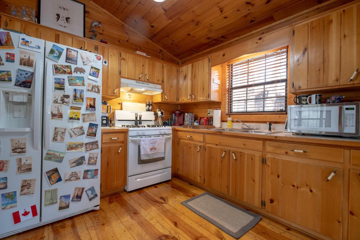 Three Dog Night - Pet-Friendly Cabin With Hot Tub view 4