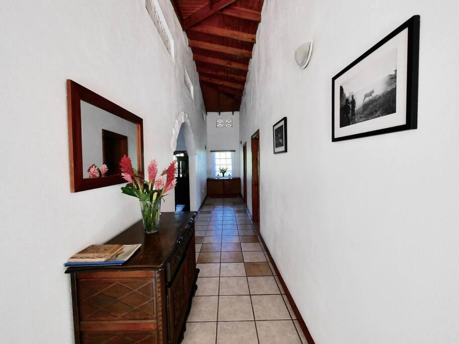 VILLA COLIBRI