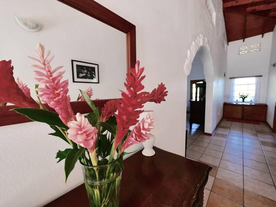 VILLA COLIBRI