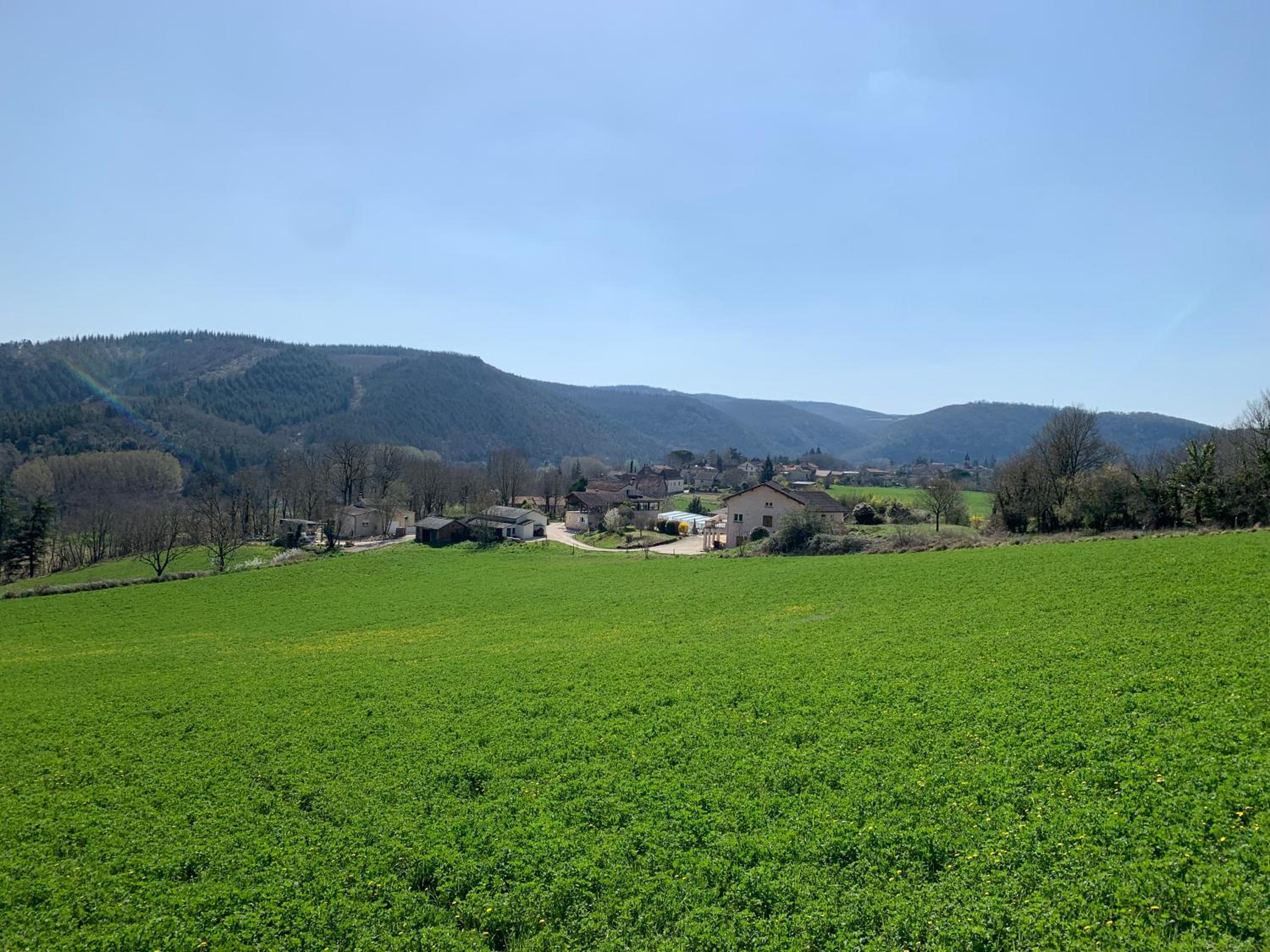 Photo 14
