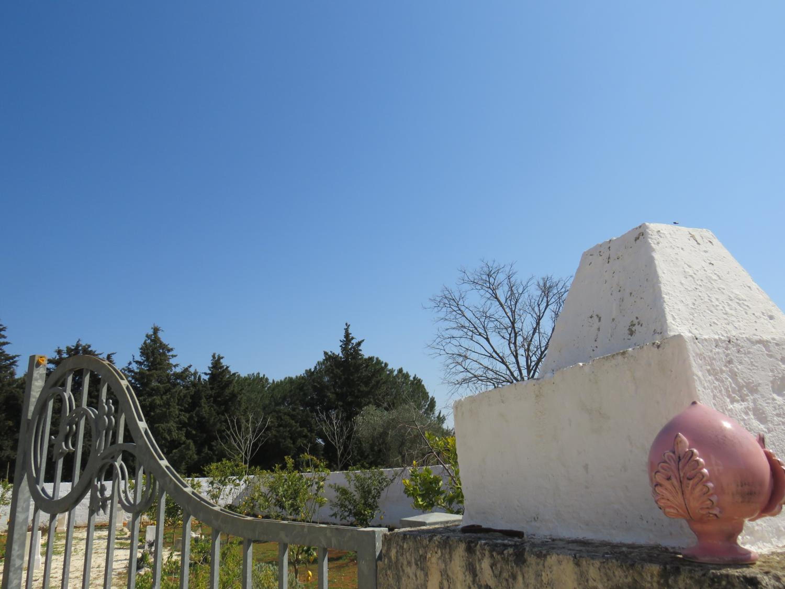 Photo 44