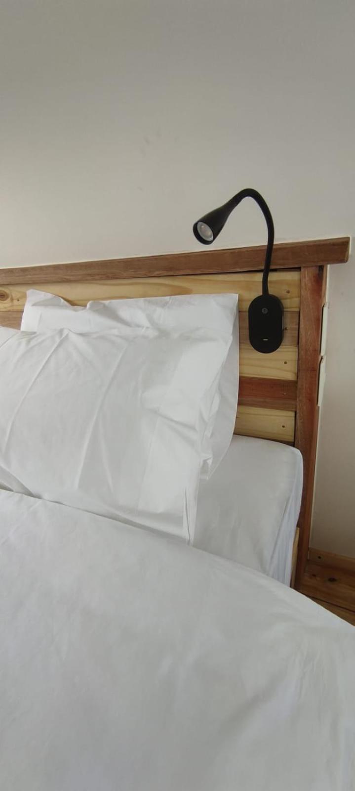 PACHAGONIA Loft