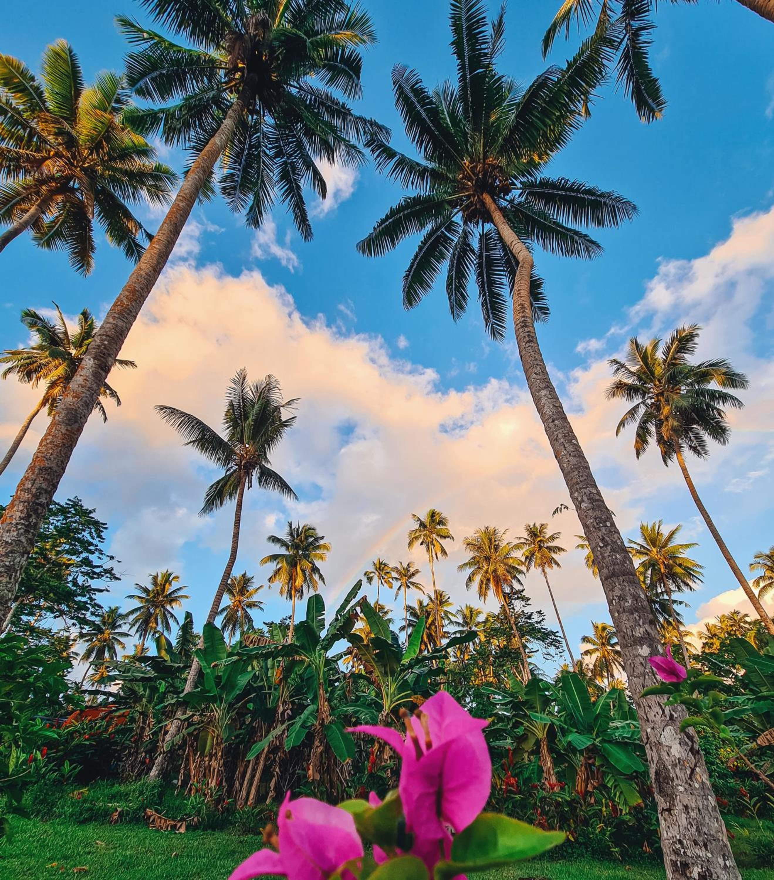 Saletoga Sands Resort & Spa