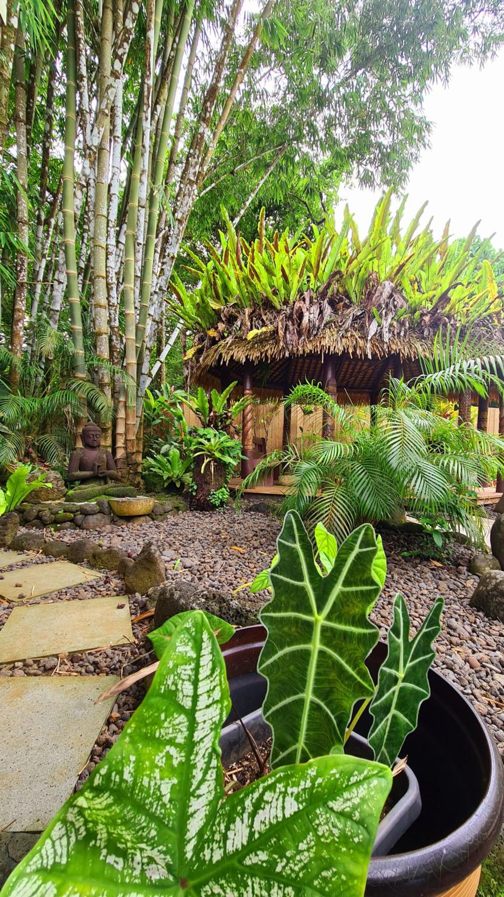 Saletoga Sands Resort & Spa