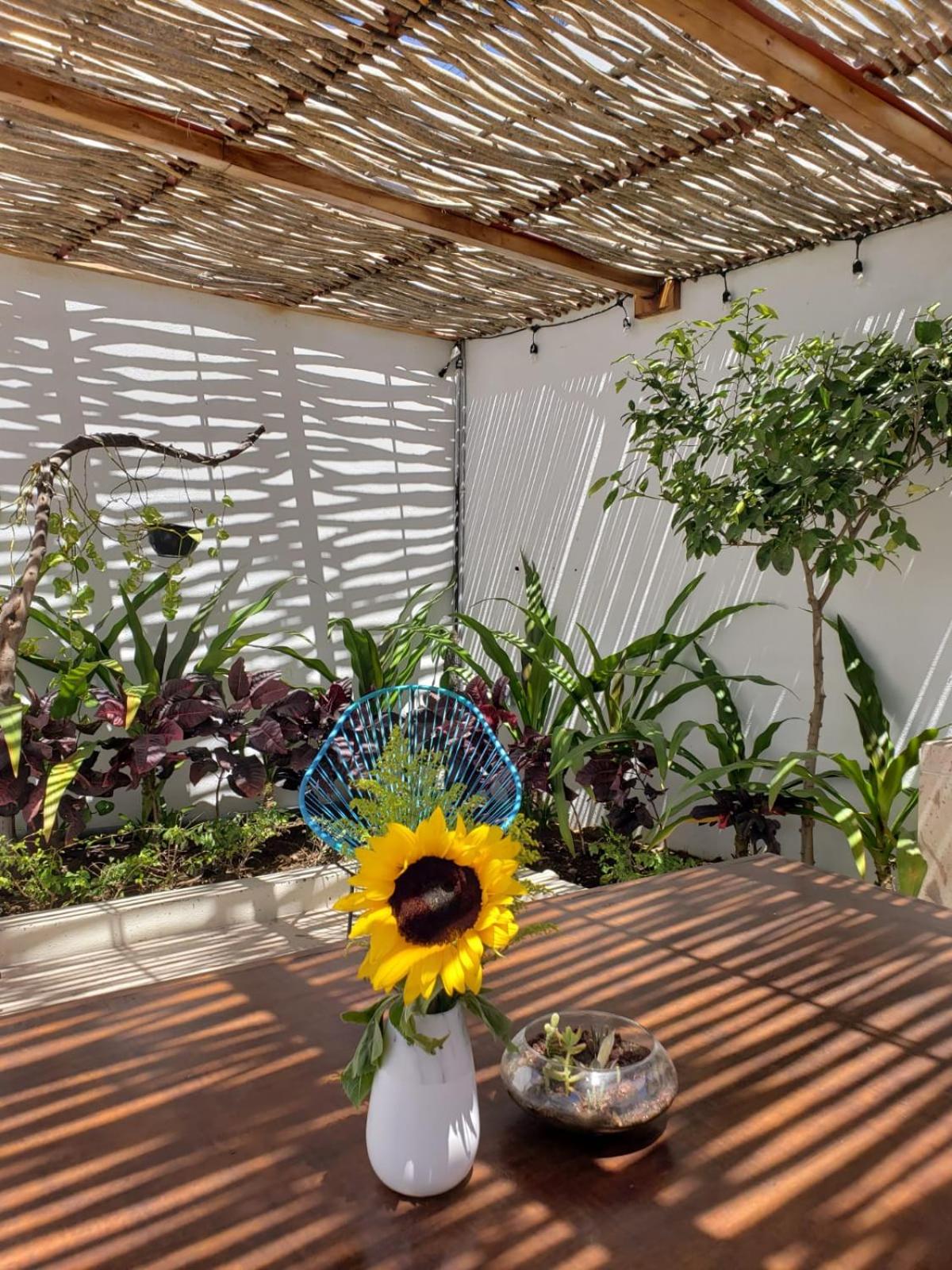 Casa Palo Verde
