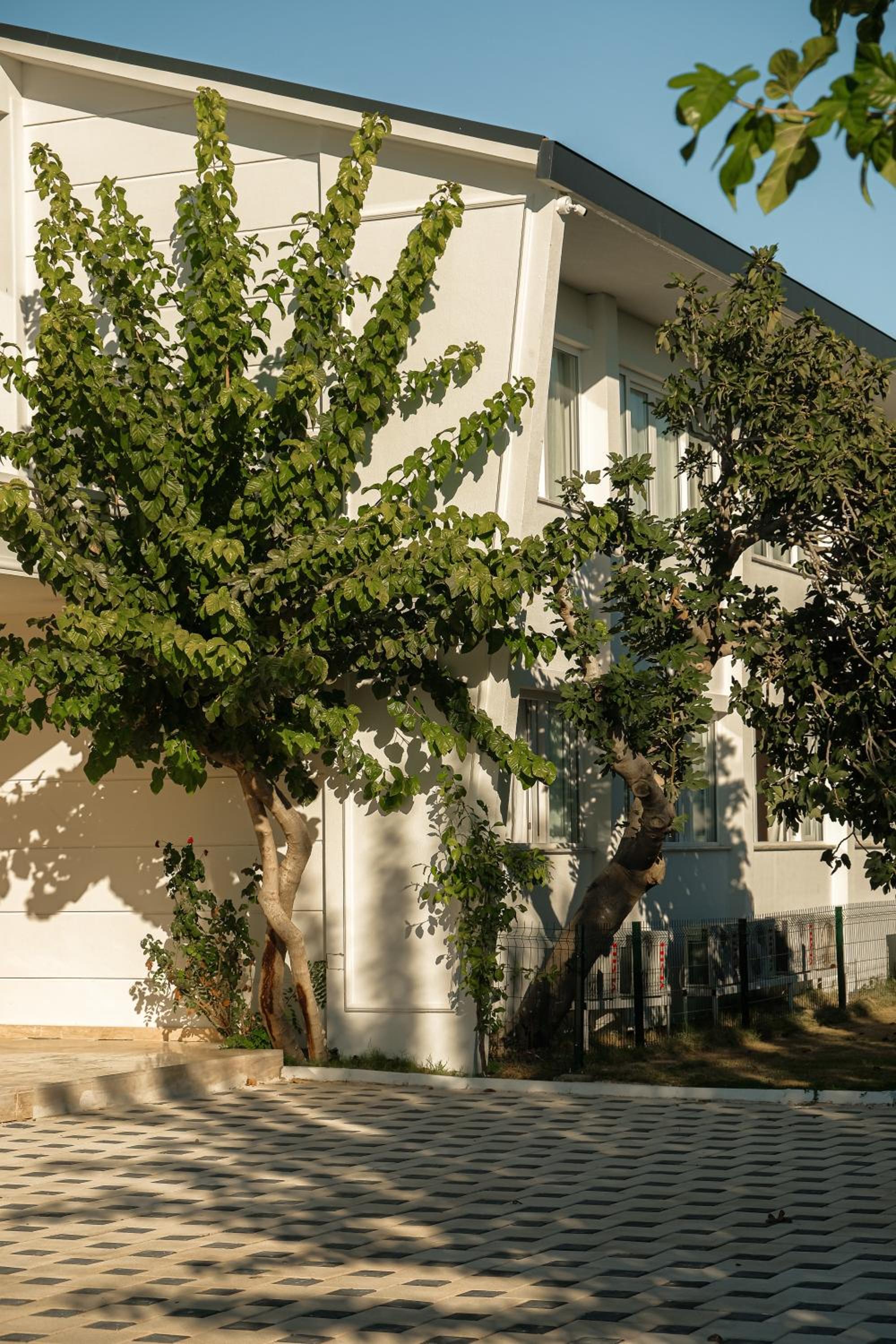 RAW BEACH OTEL - Image 24