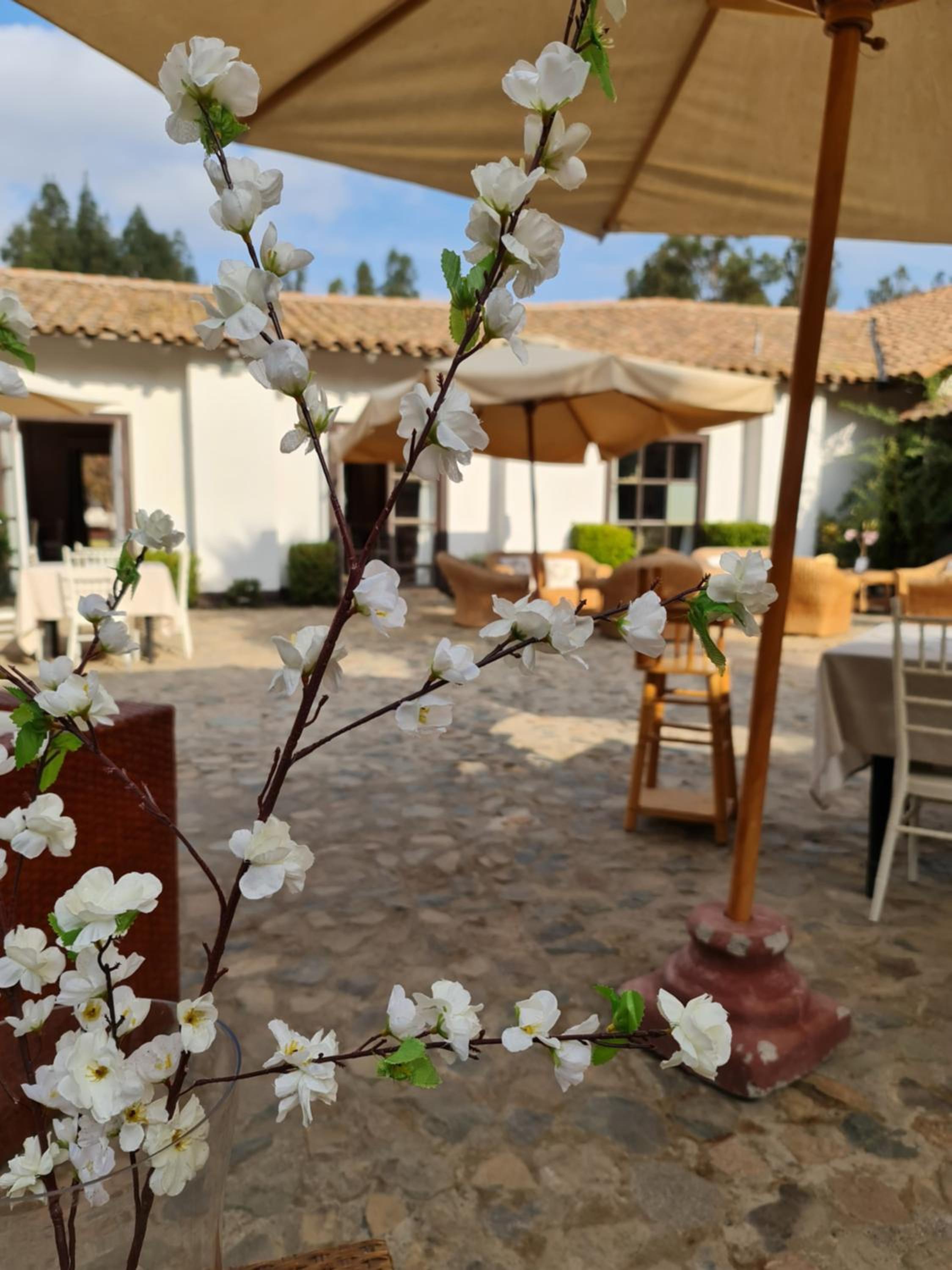 Hacienda Historica Marchigue