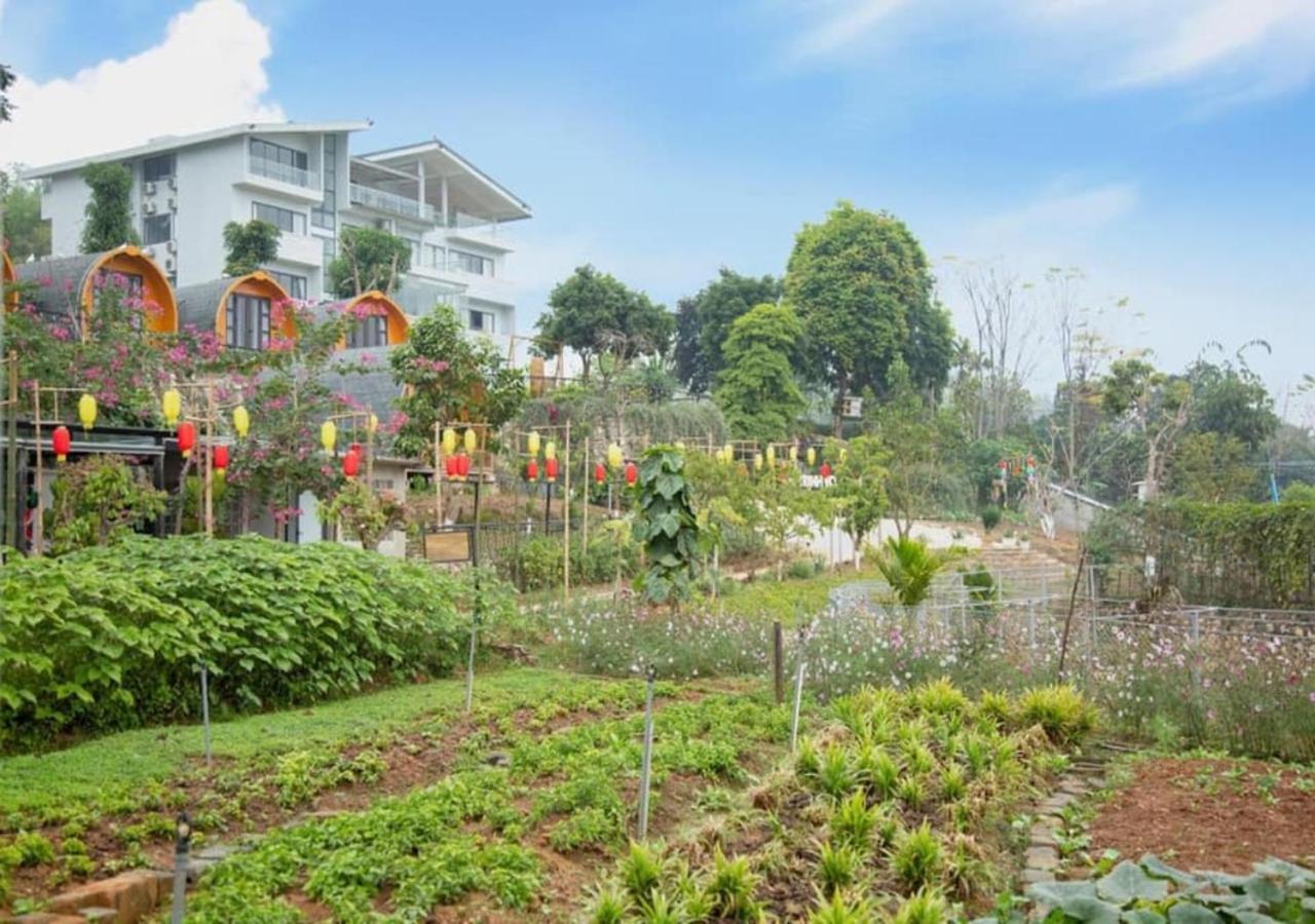 Gia Trinh Farmstay Ba Vi - Venuestay