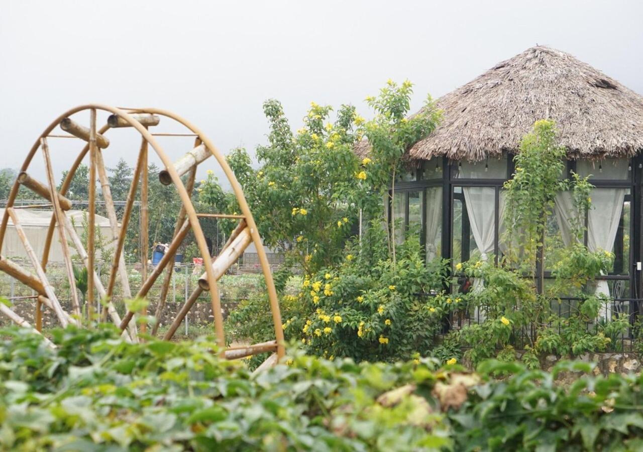 Gia Trinh Farmstay Ba Vi - Venuestay