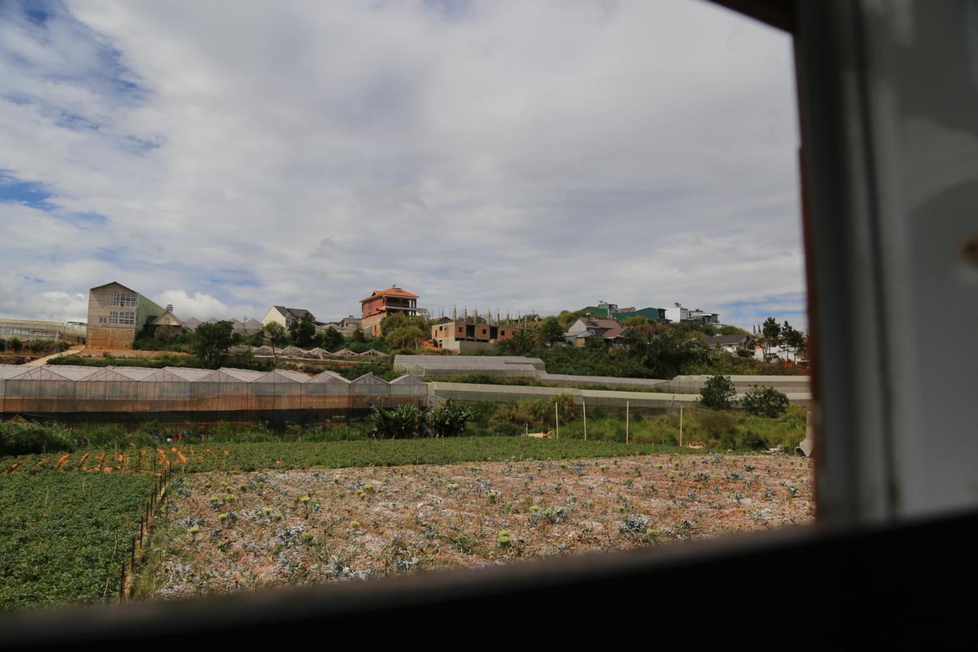 Photo 29